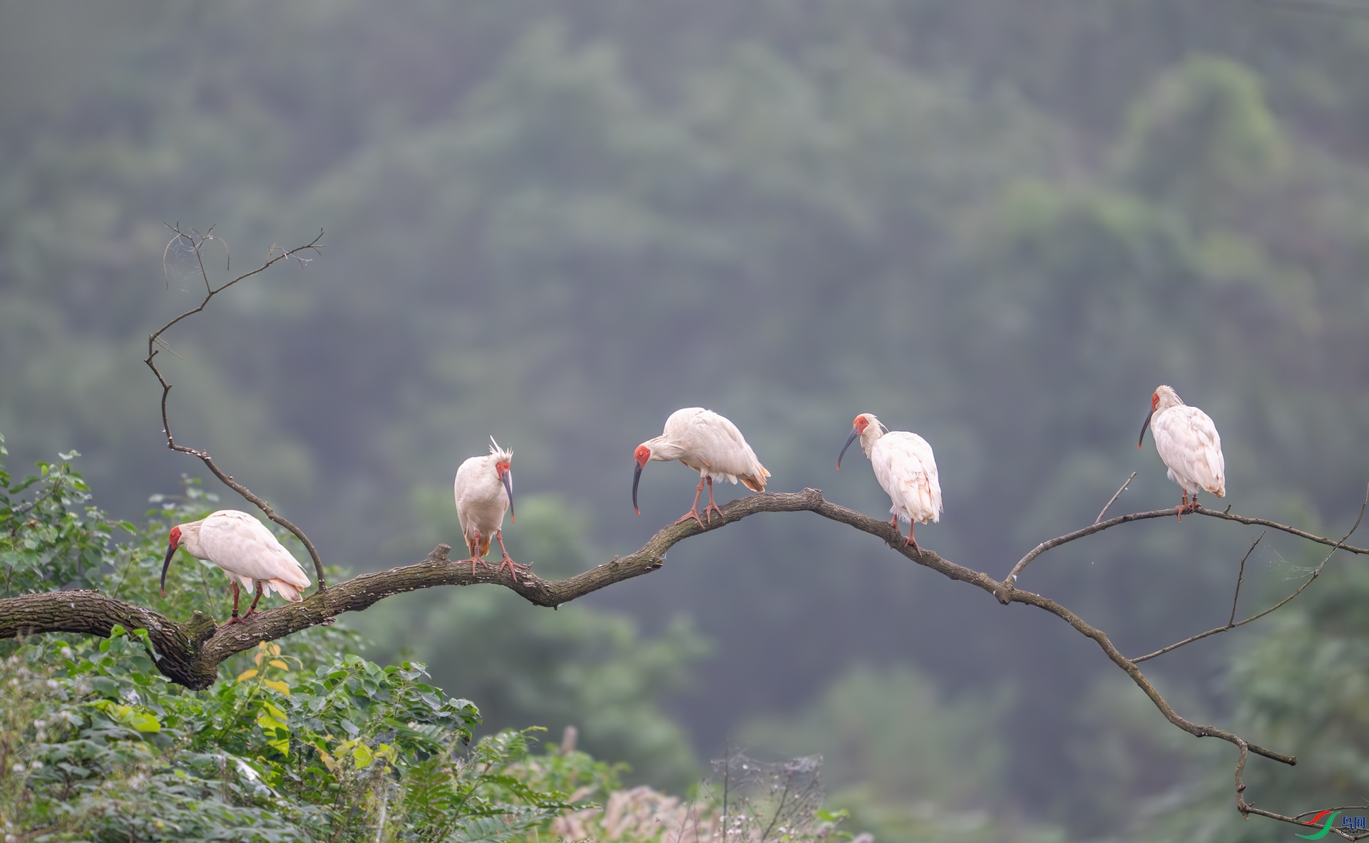 DSC_5109-1.jpg