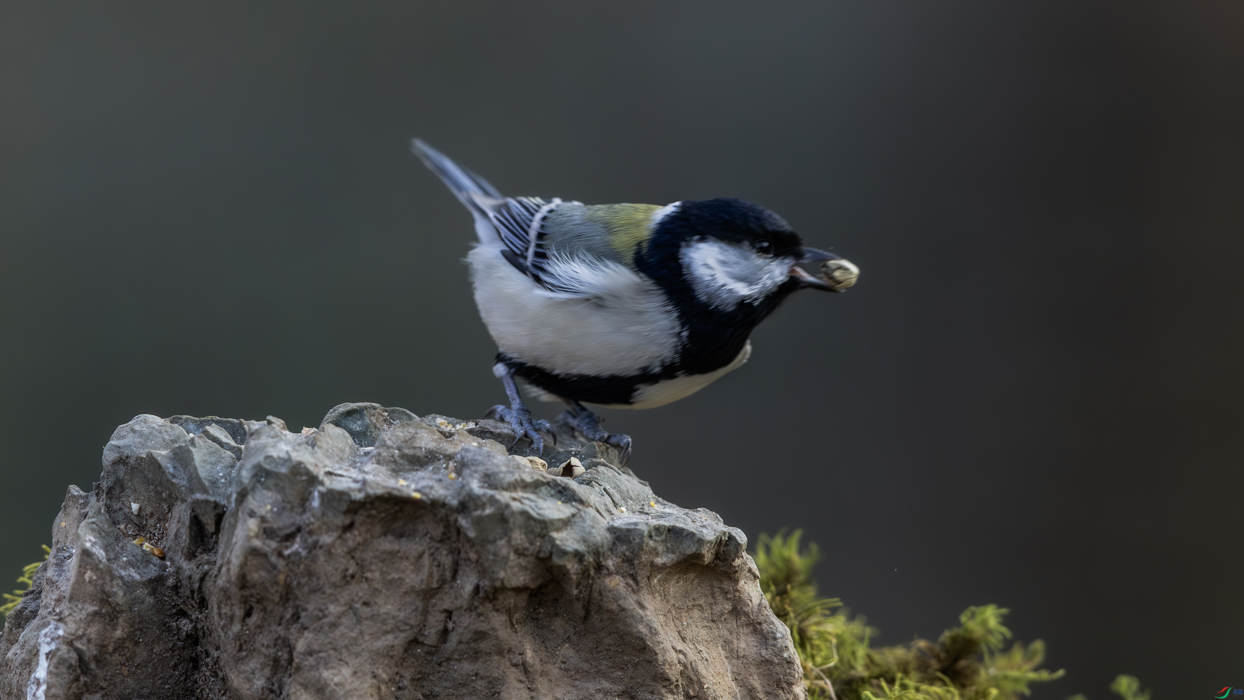 7X5A3627-����ǿ-NR ����.jpg