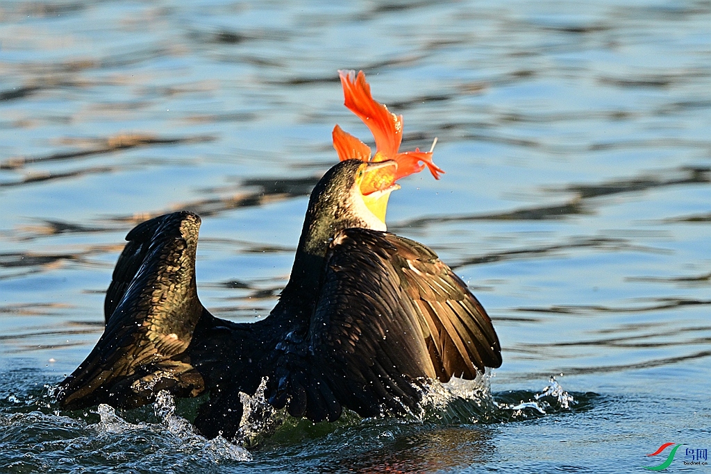 DSC_7179.JPG