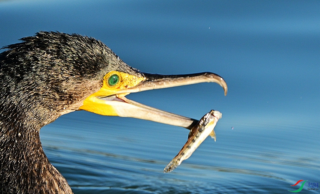 DSC_7293.JPG