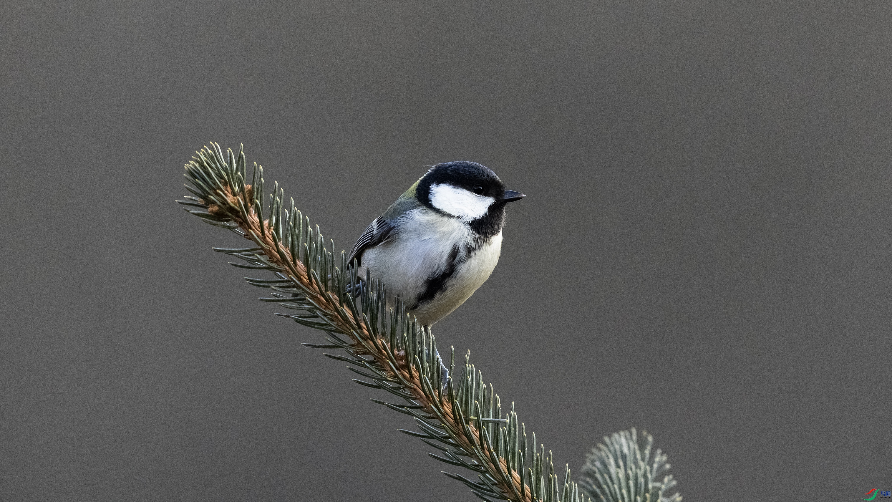 7X5A4201 ����88.jpg