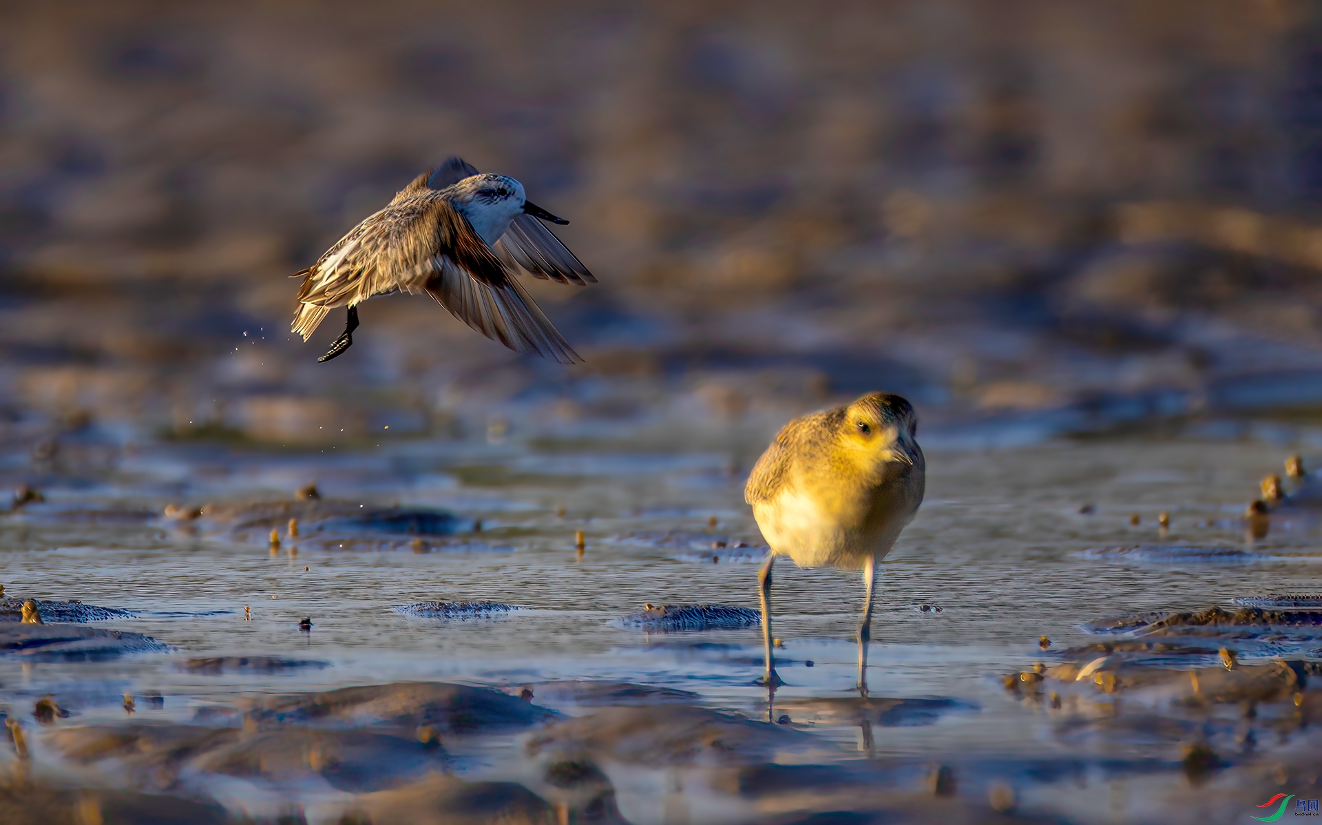 407A1287-----22  .jpg