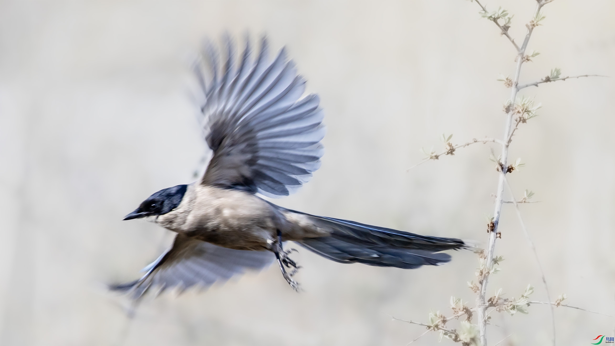 I99A6563 ��ϲȵ000.jpg