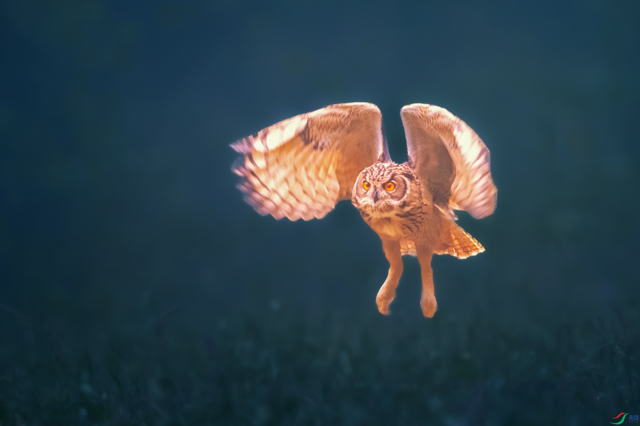 ���^----ҹ����â