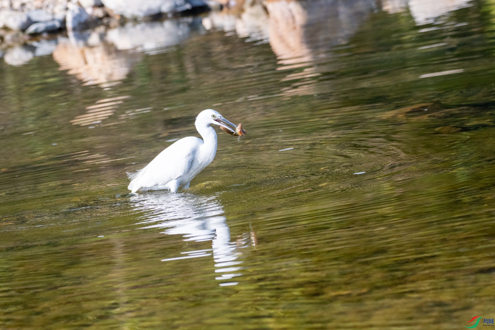DSC_2787.jpg