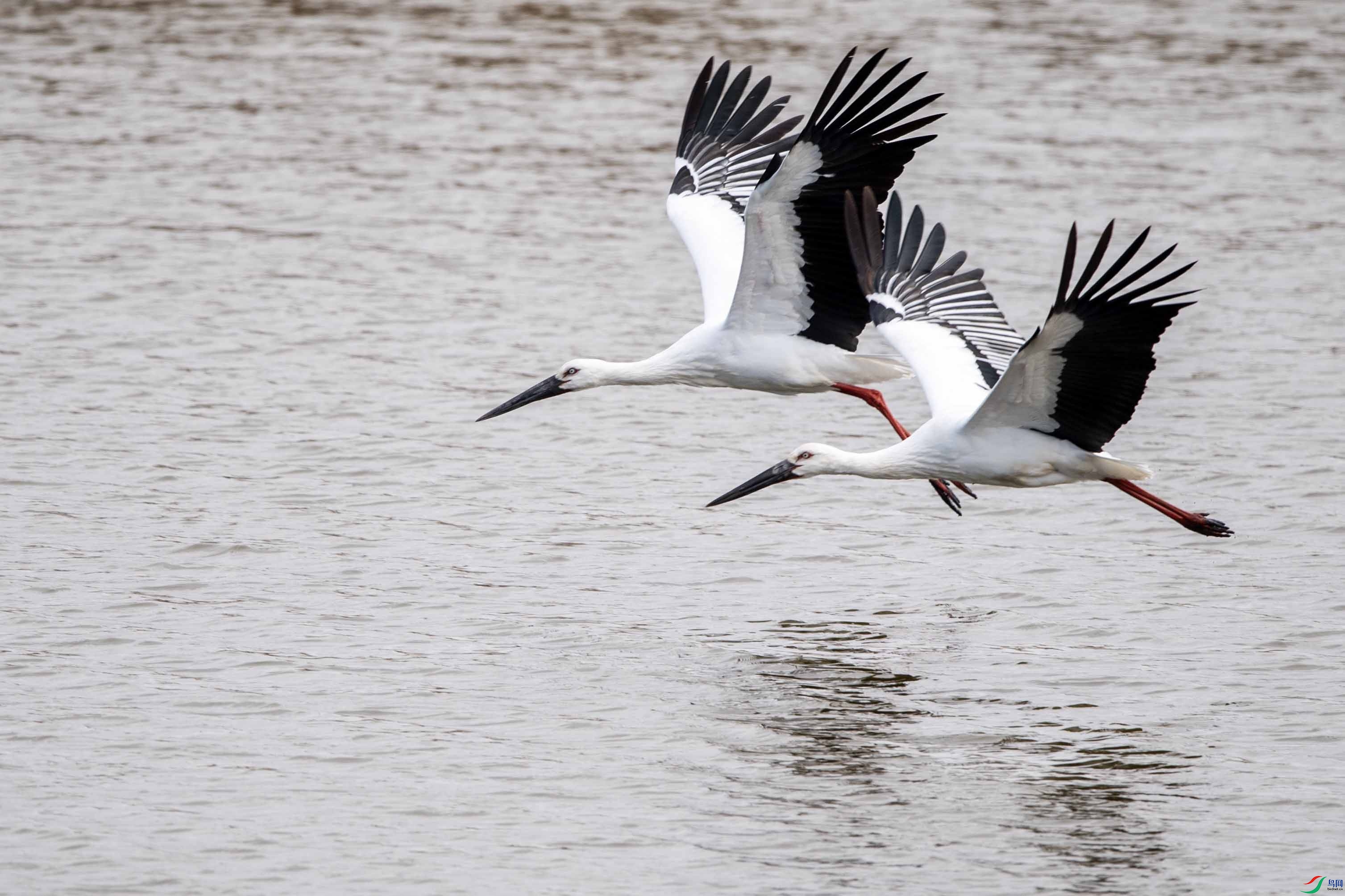 _DSC1159-2 ����.jpg