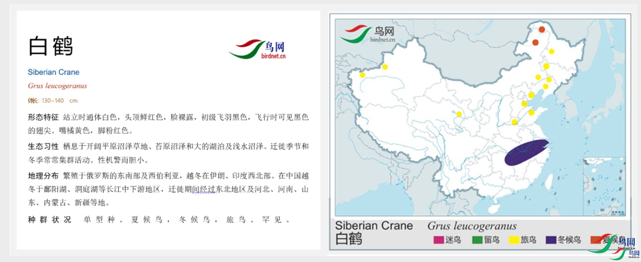 8e236ac7894574ea5a3bf36d9e5dccb8.png