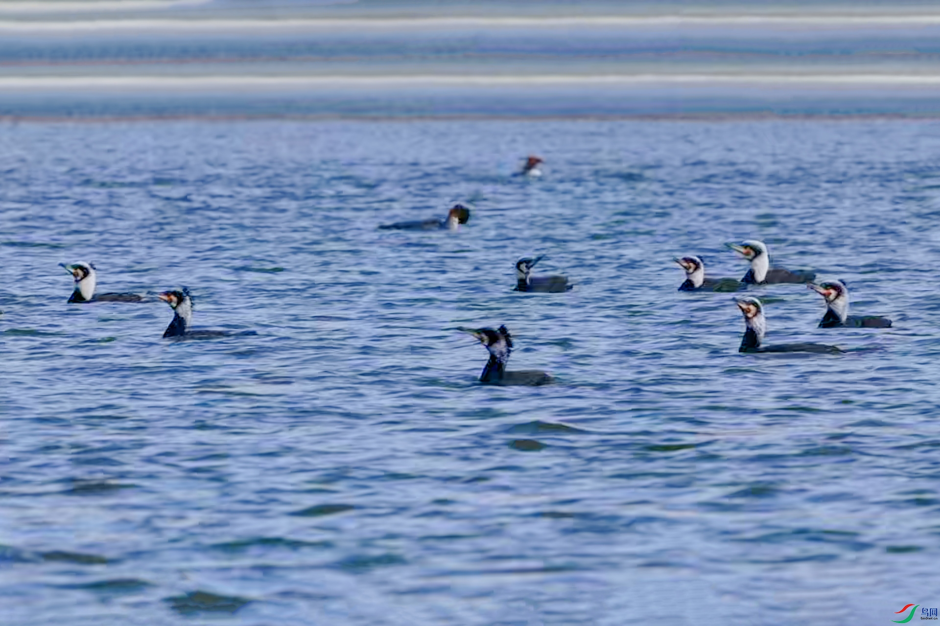 11��19�� (1)(1).jpg