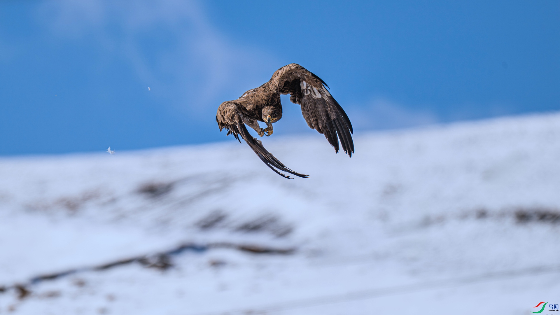 DSC_1709 ����_����.jpg