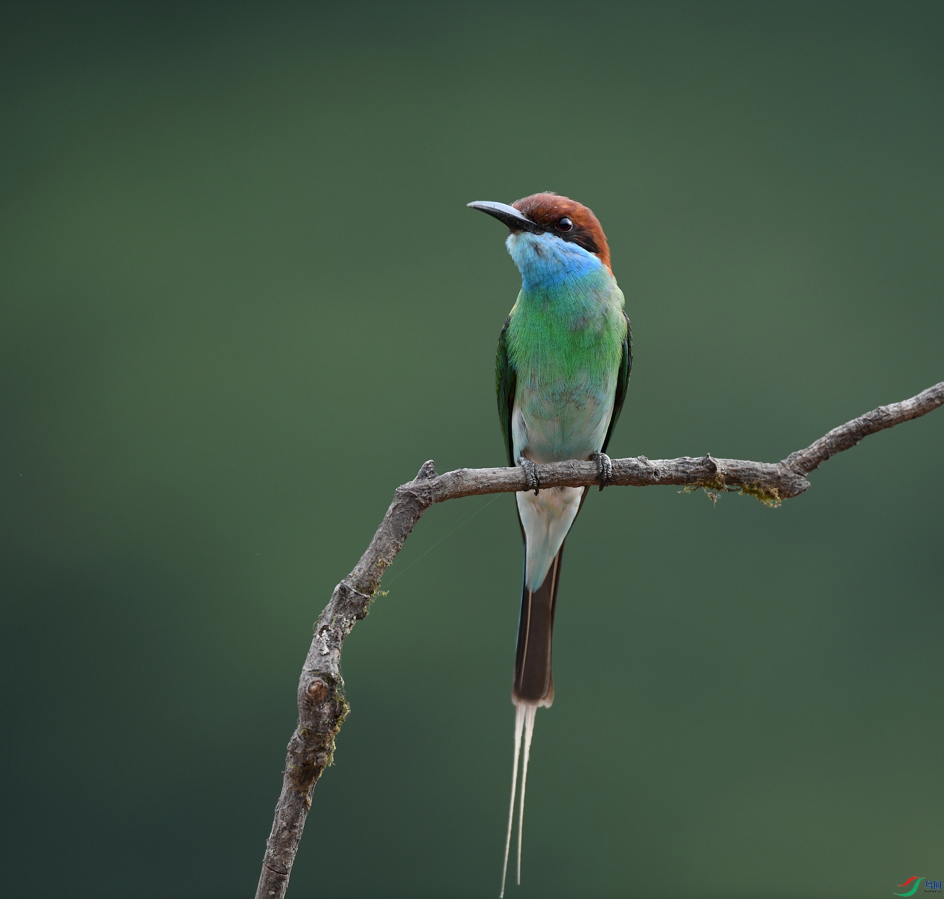 DSC_0632.jpg