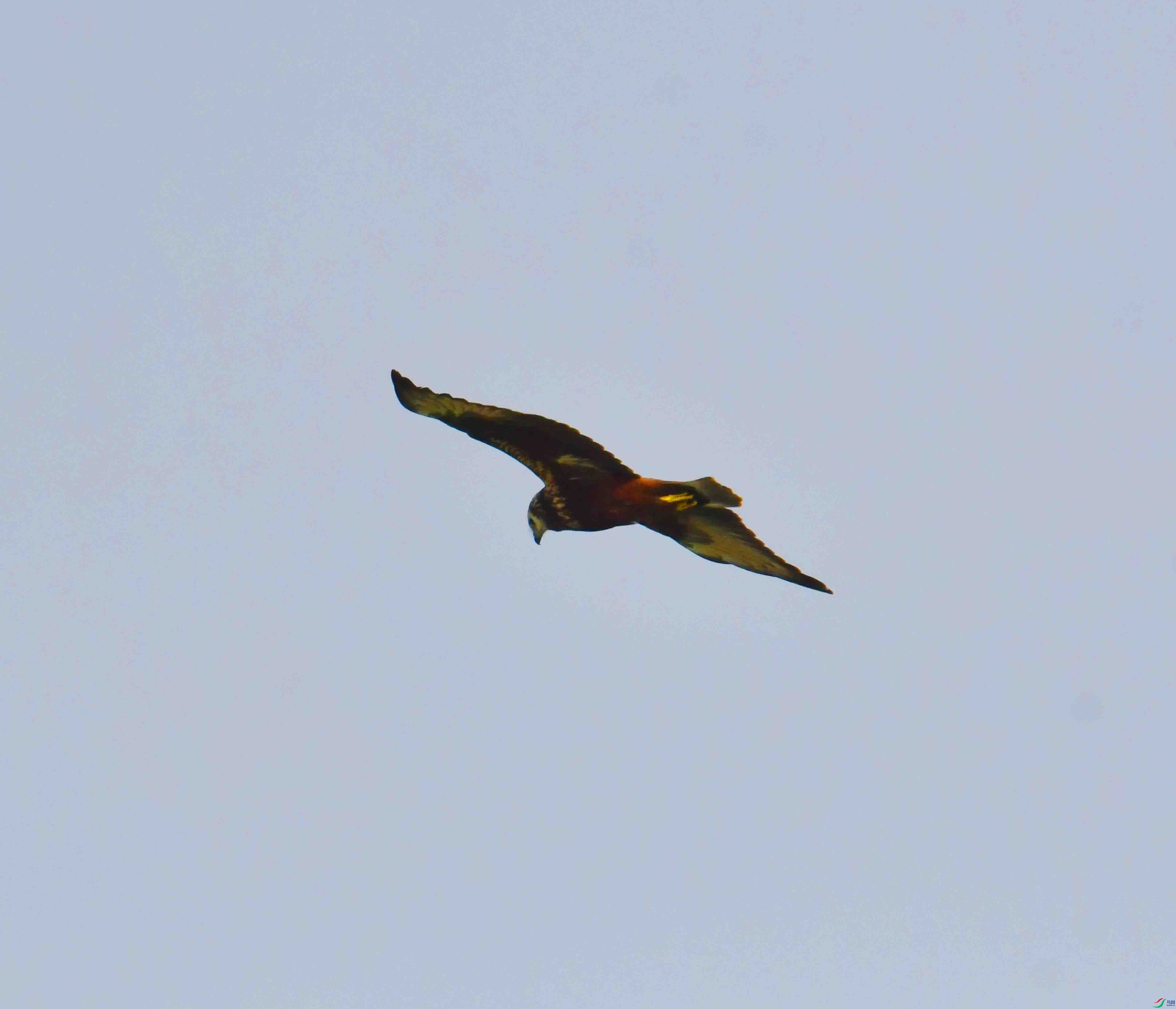 DSC_8433.JPG