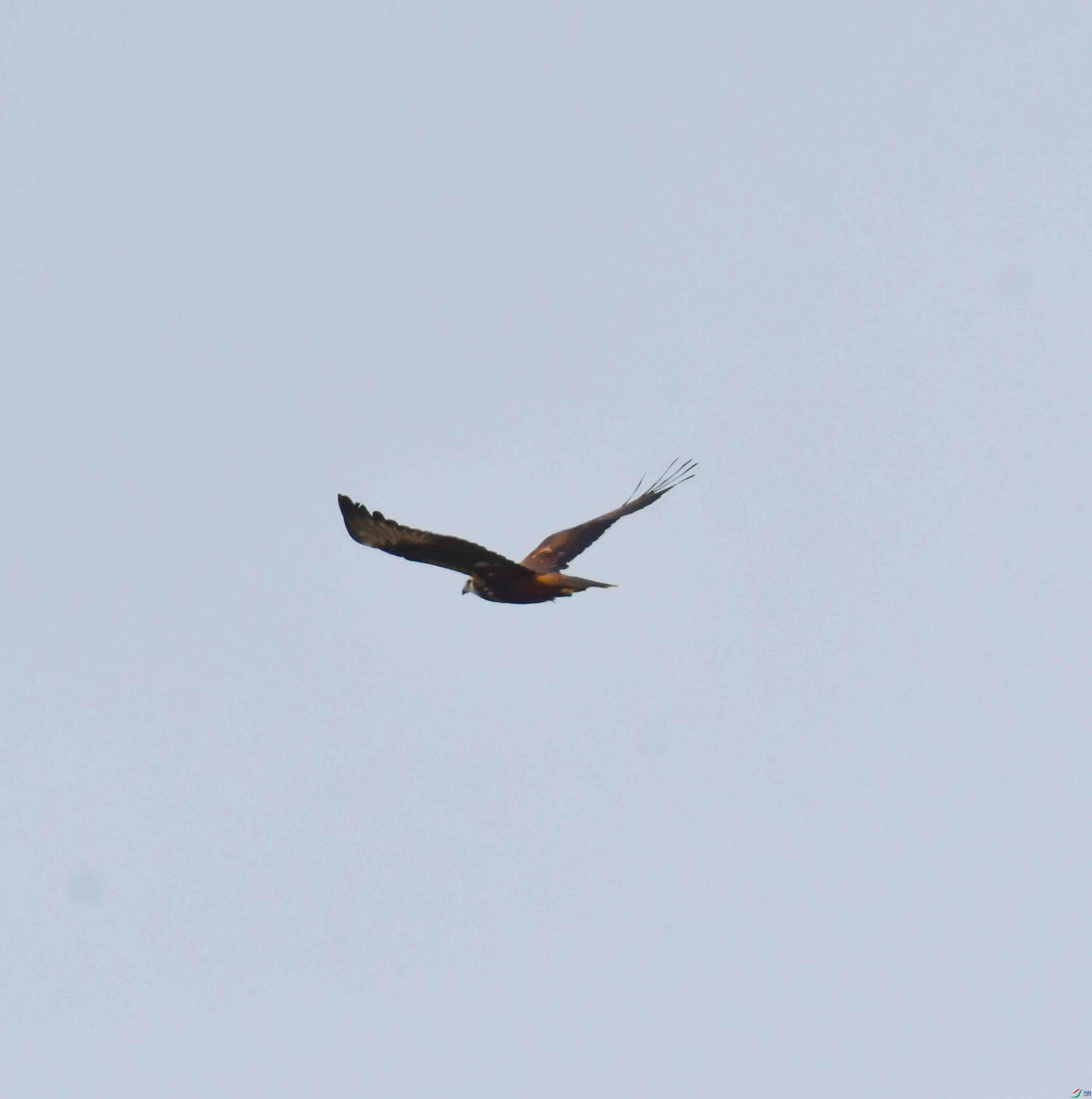 DSC_8442.JPG