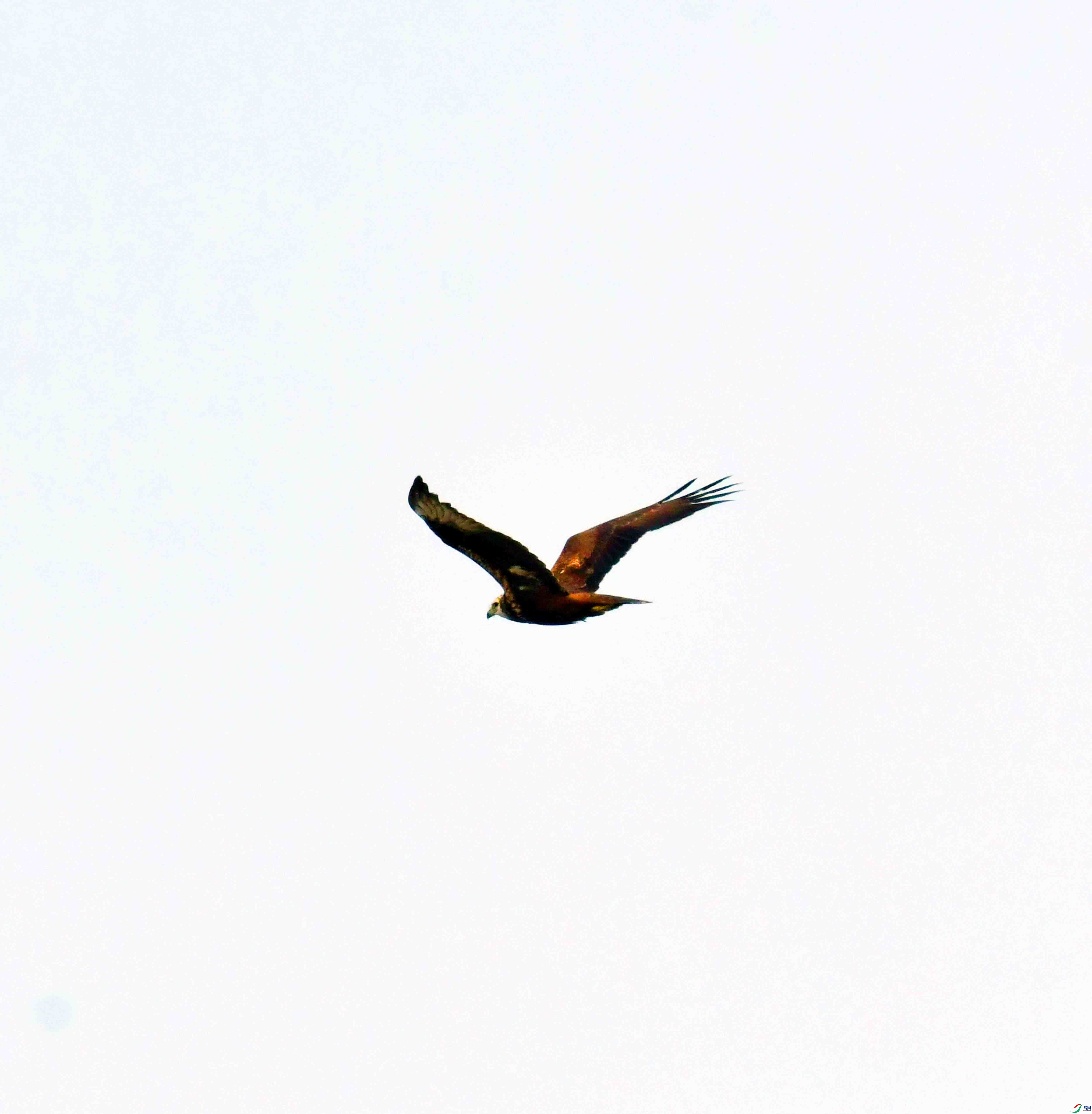 DSC_8443.JPG