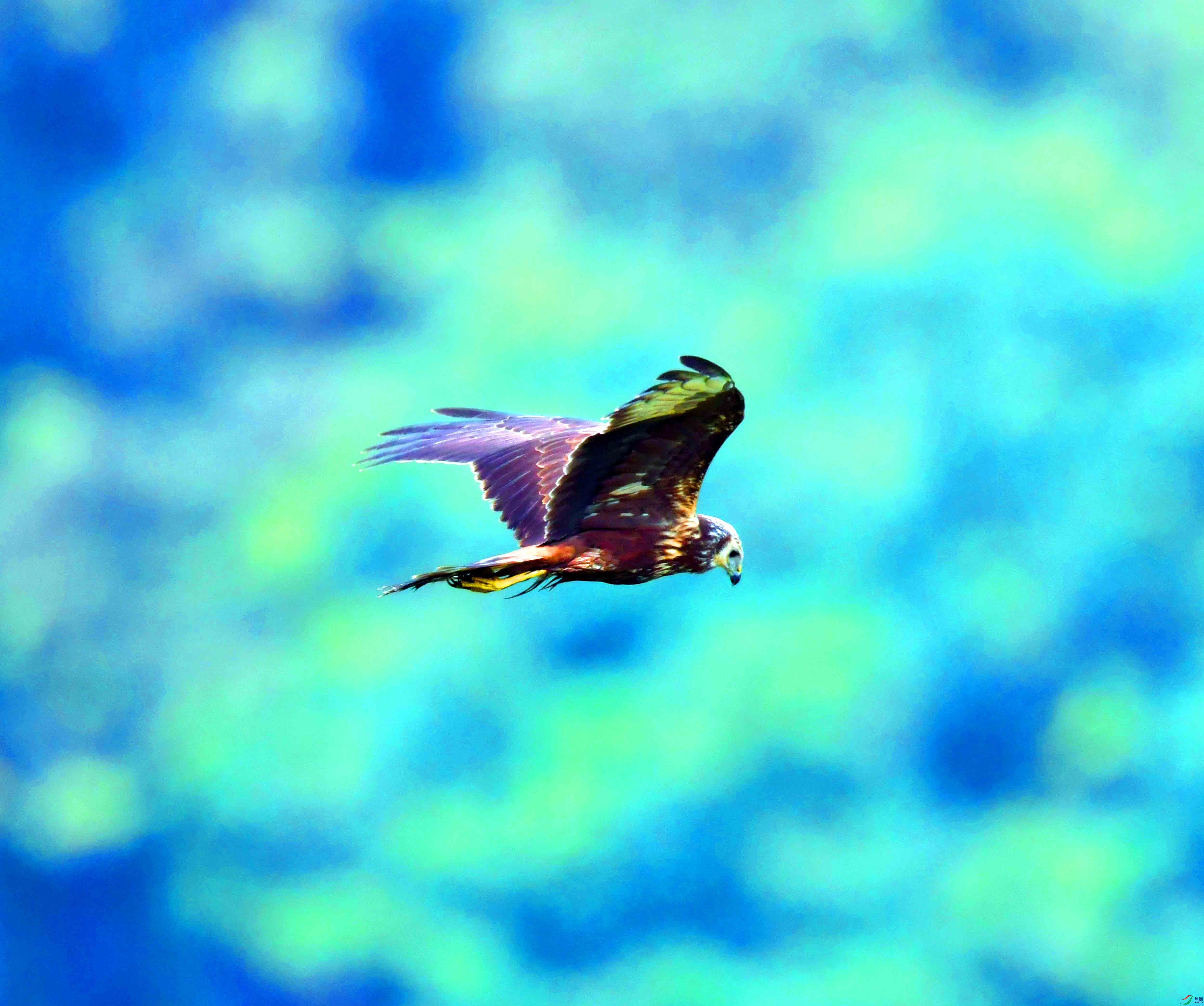 DSC_8481.JPG