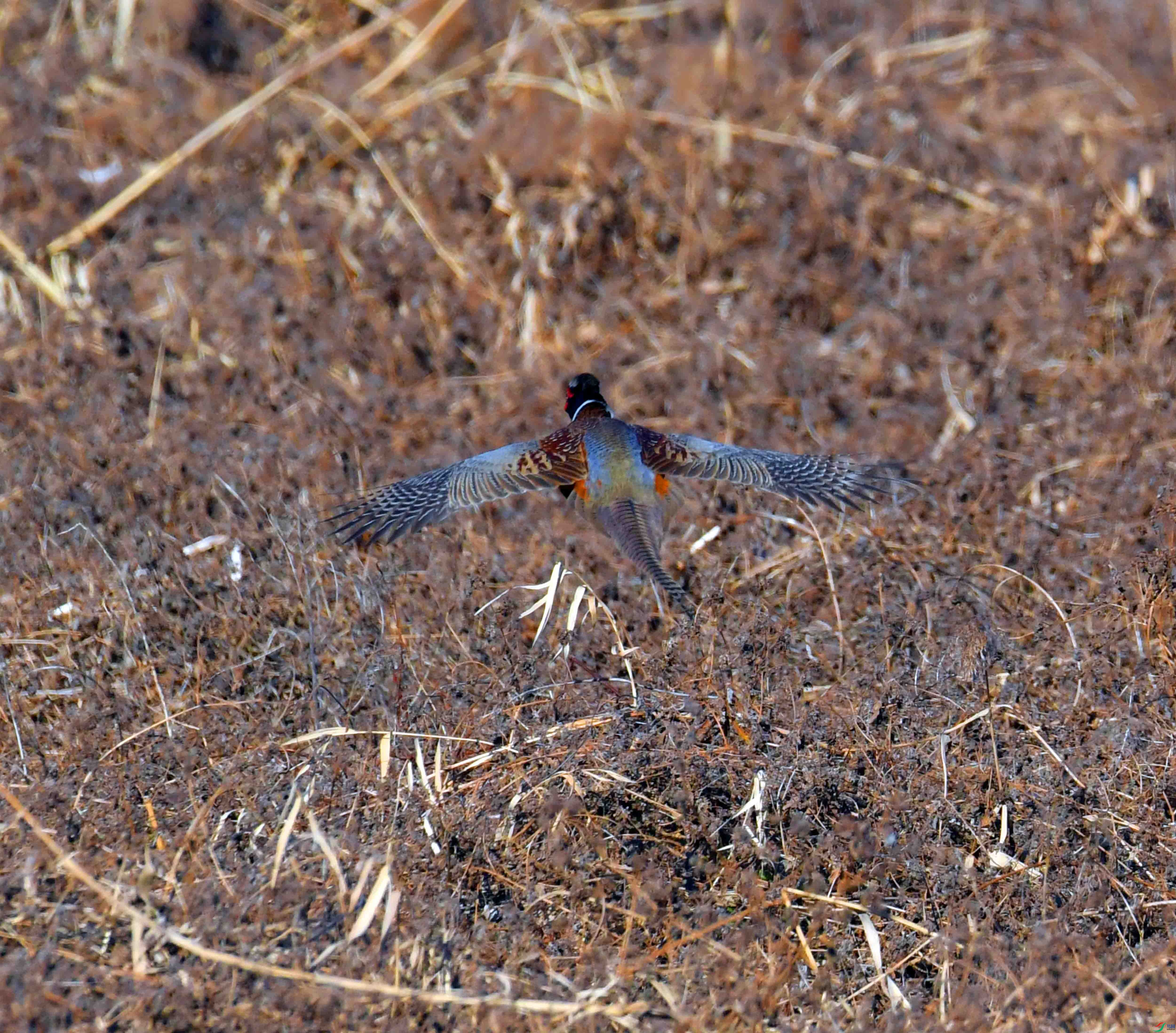 DSC_8359.JPG