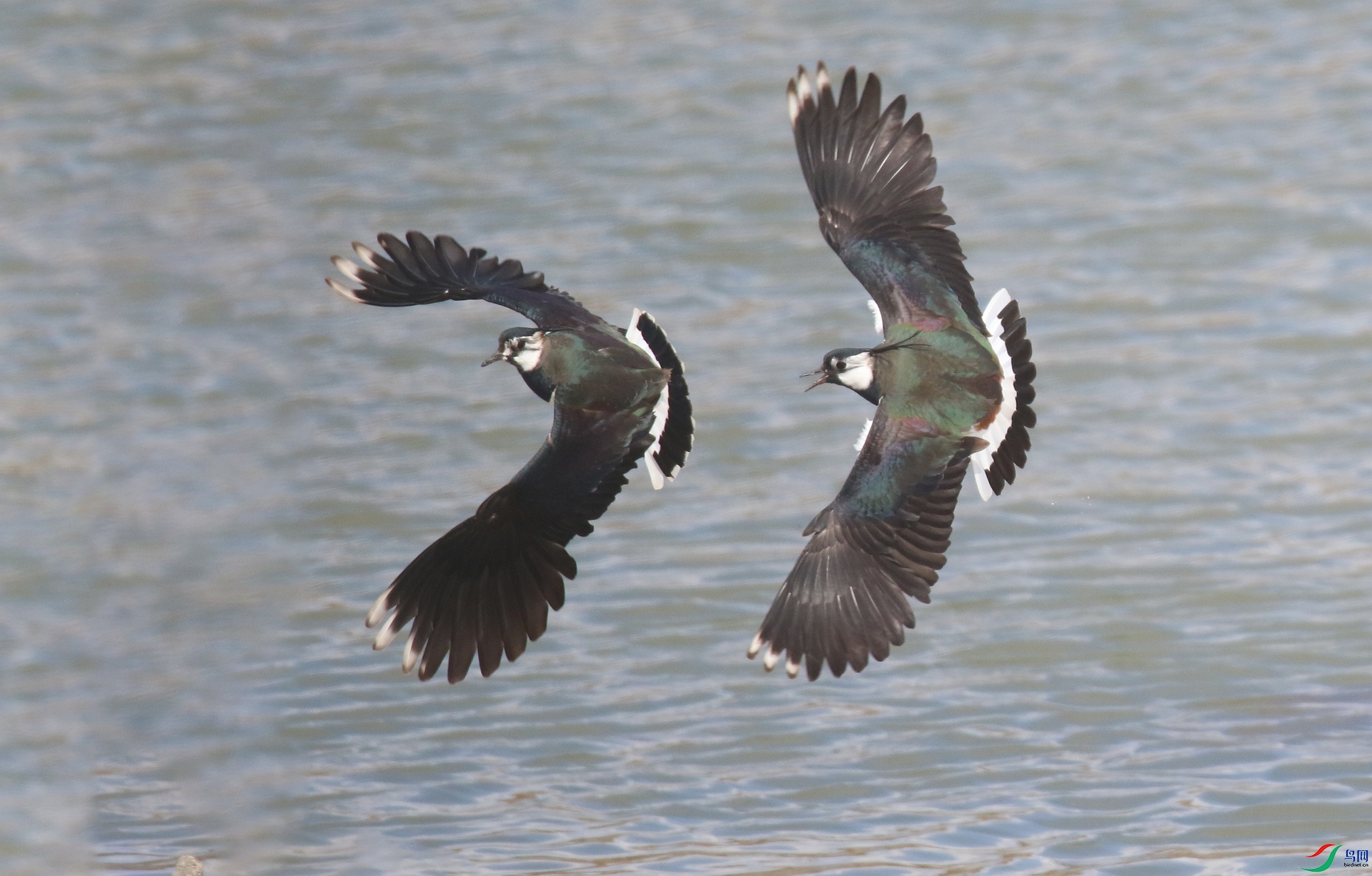 0G1A5727 ����.jpg