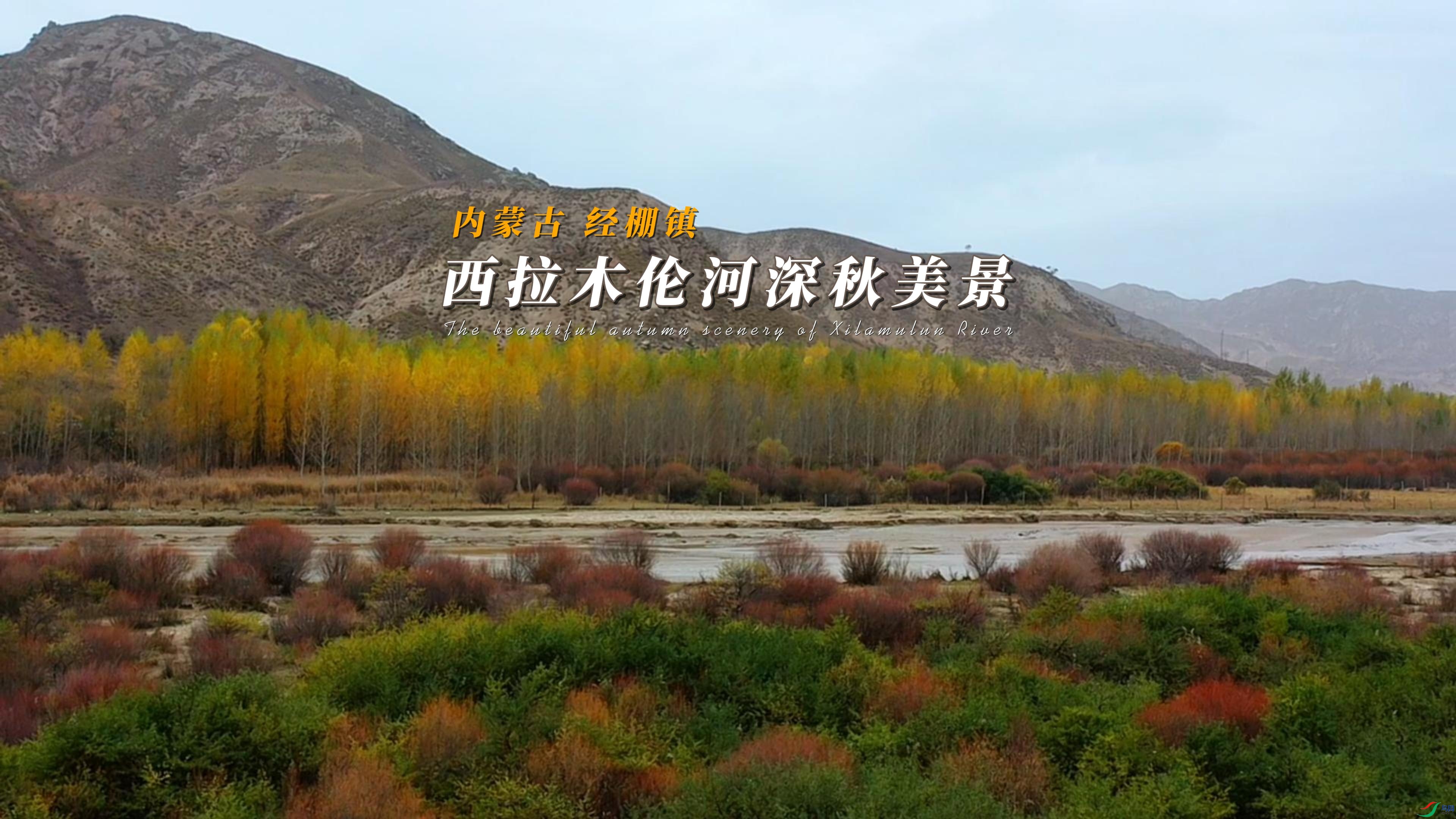 ���ɹ� ������ ����ľ�׺���������-����.jpg