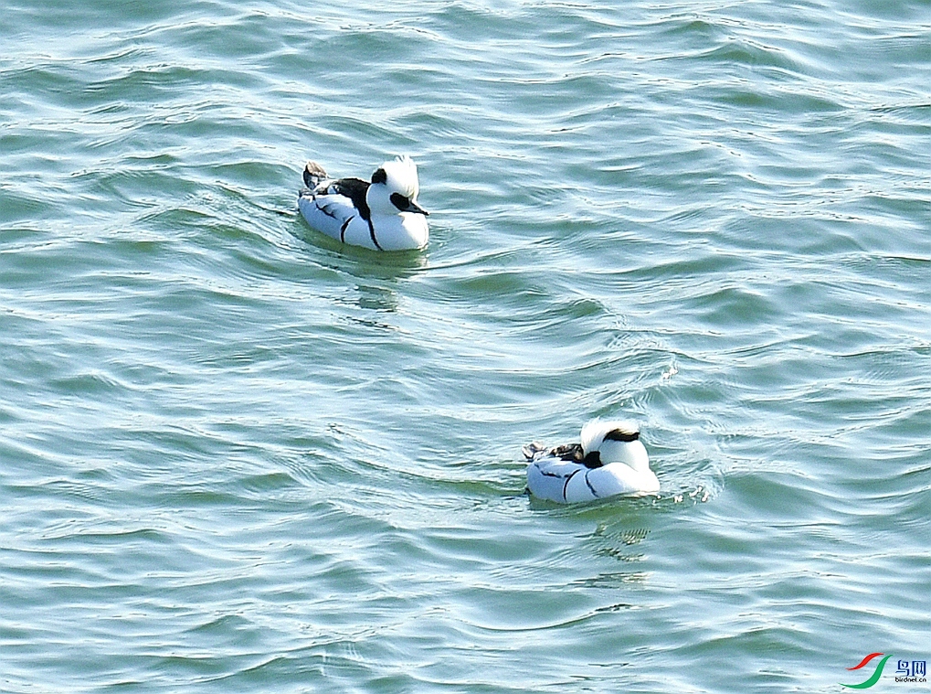 DSC_4549.jpg