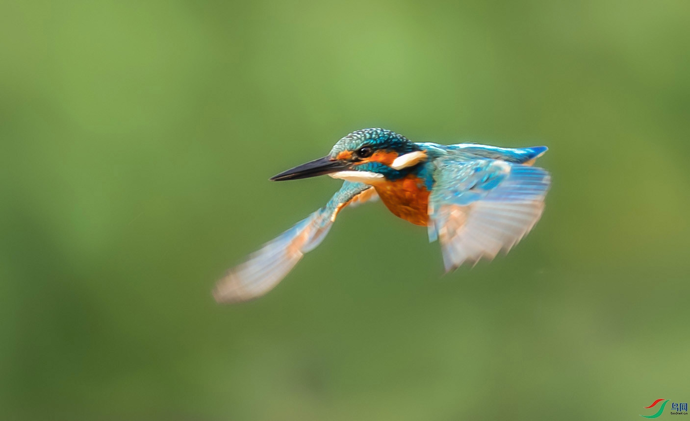 0N6A2240 ���� 3.jpg