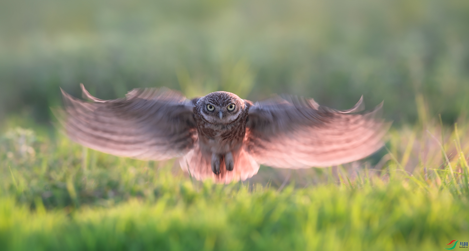 ���Ƹ�С�^