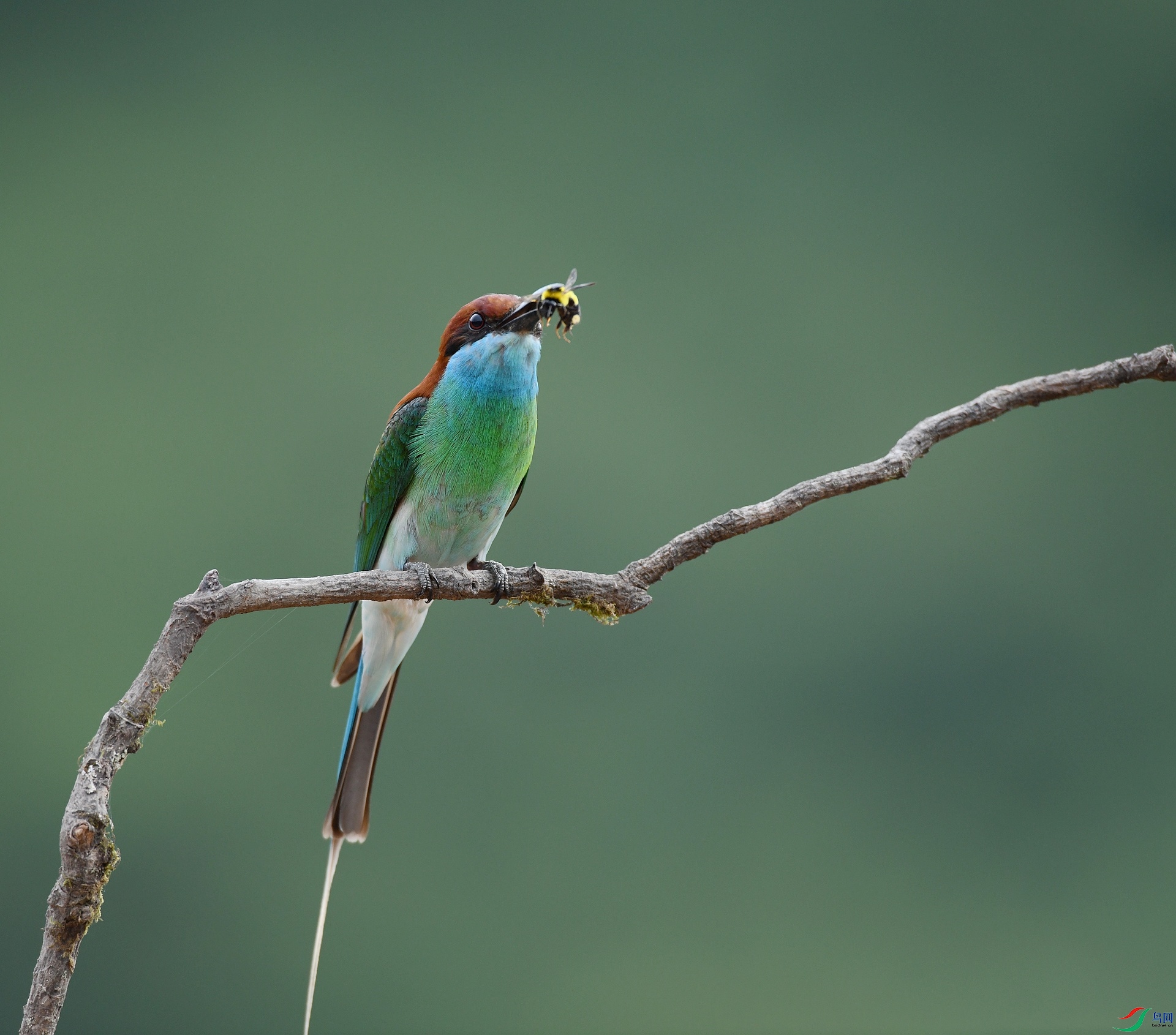 DSC_0627.jpg