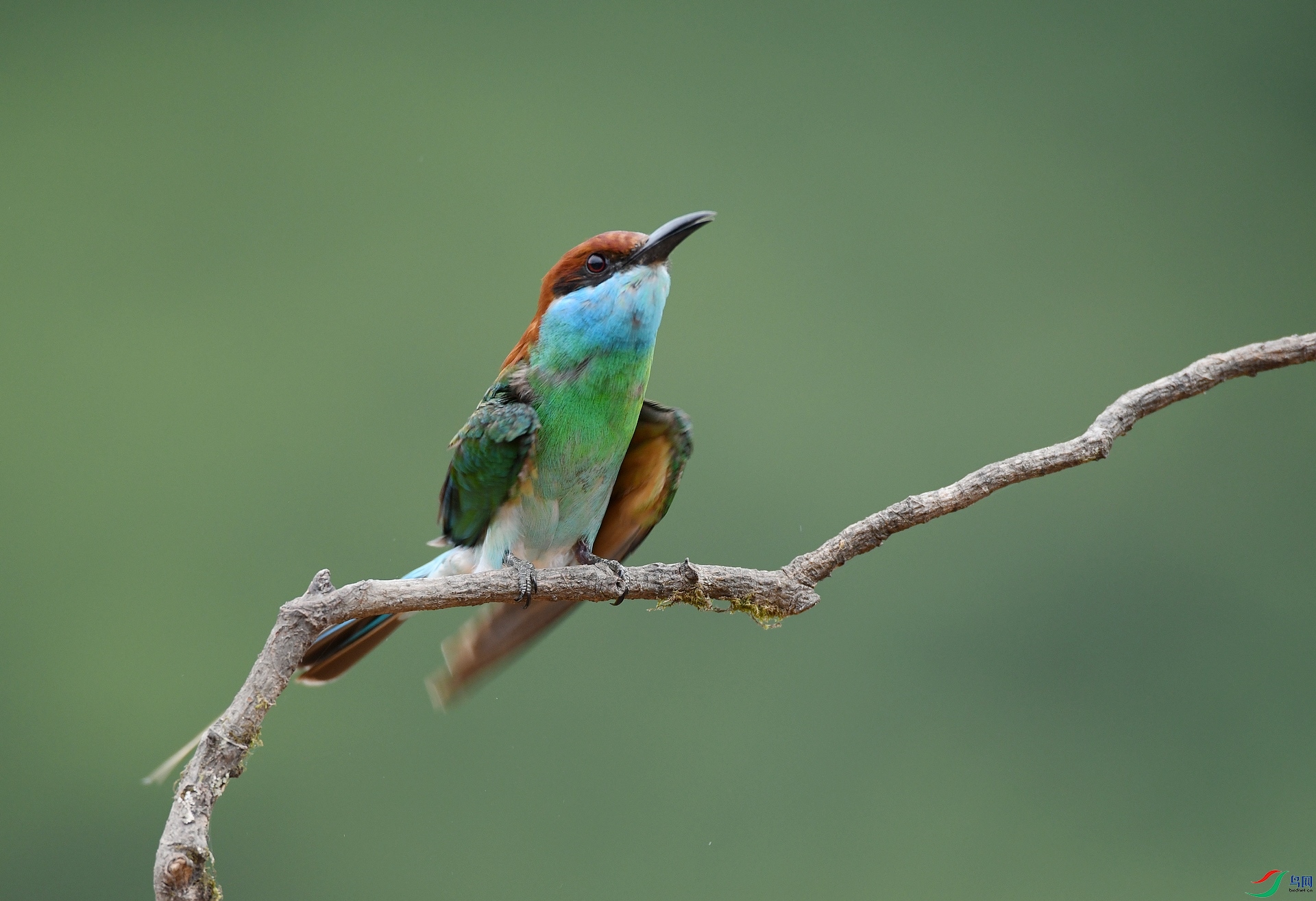 DSC_1007.jpg