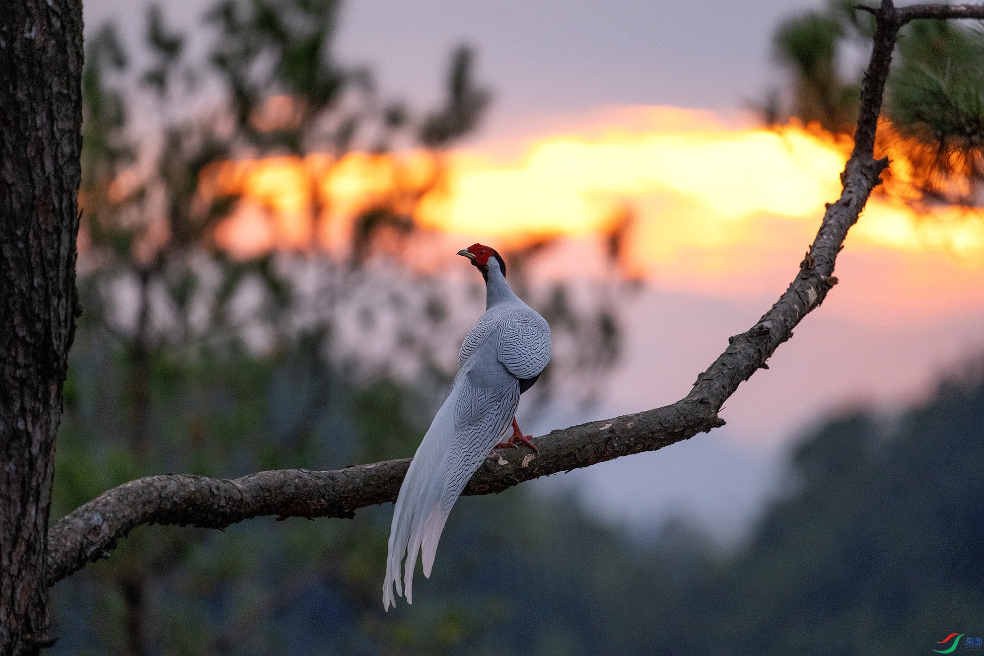 _DSC1150 ����.jpg