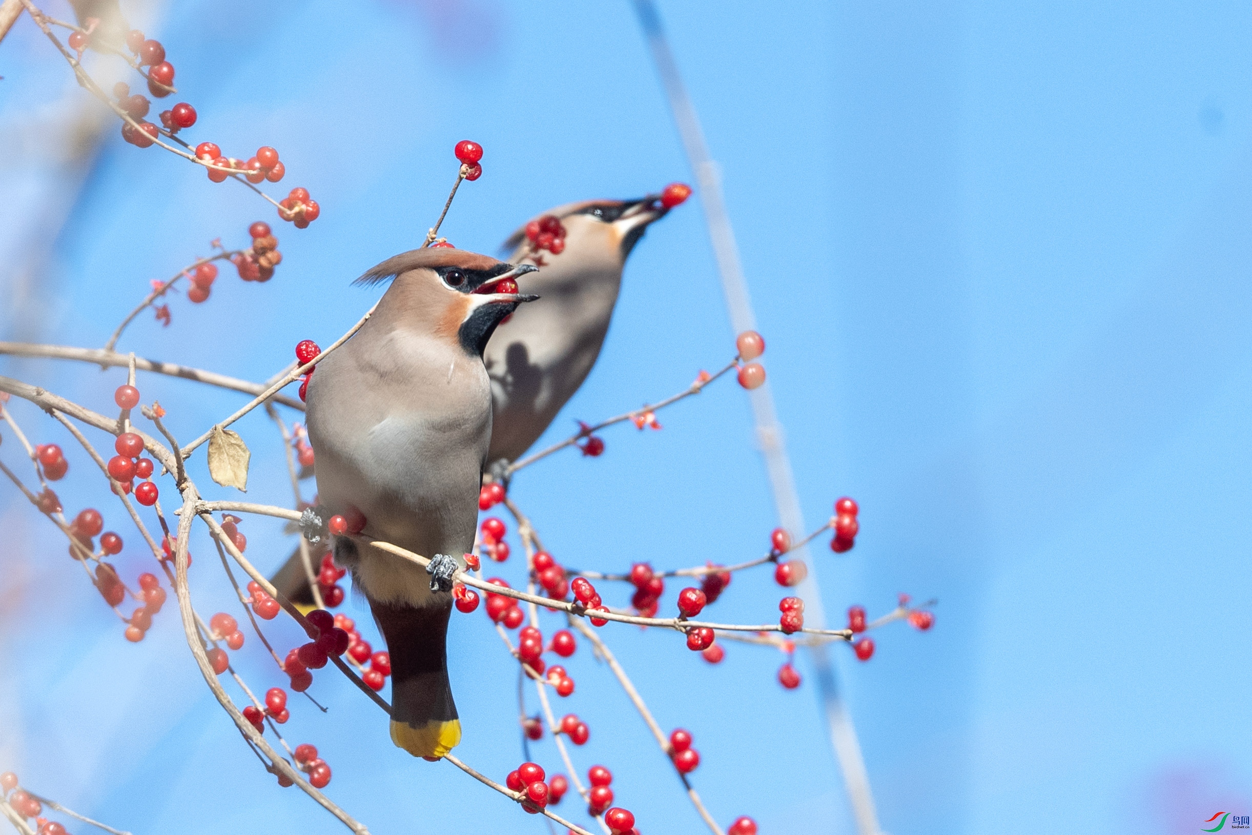 DSC_1800.jpg