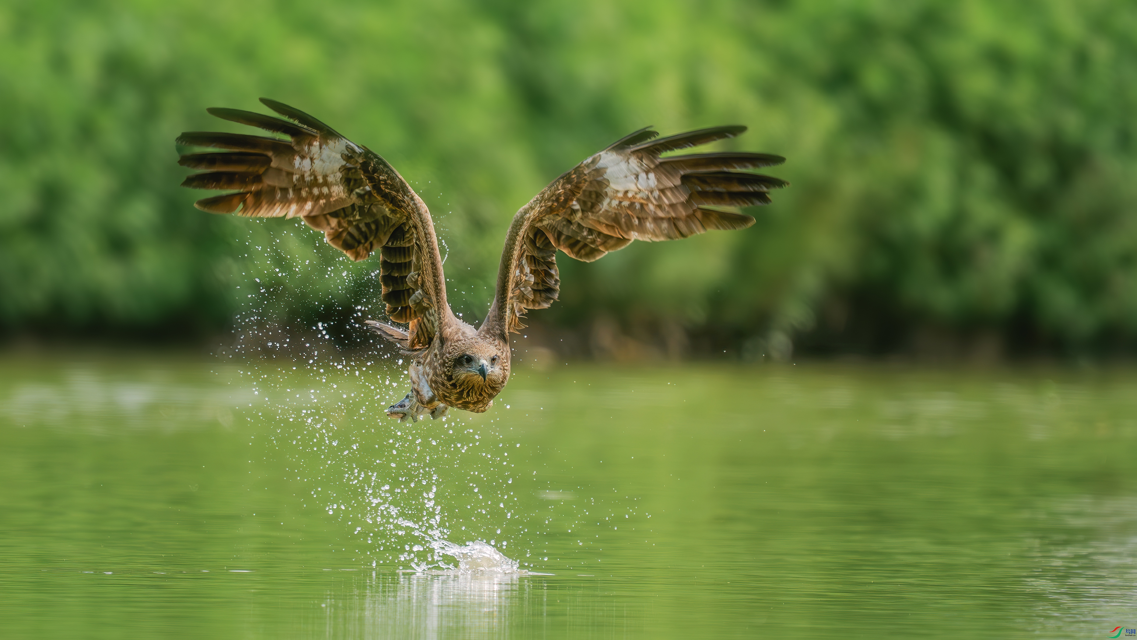 _DSC9620 ����.jpg