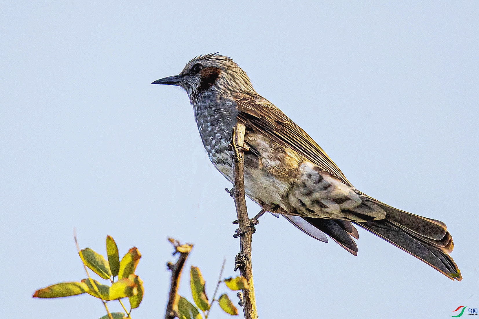 _90I8779 ���� 2.jpg