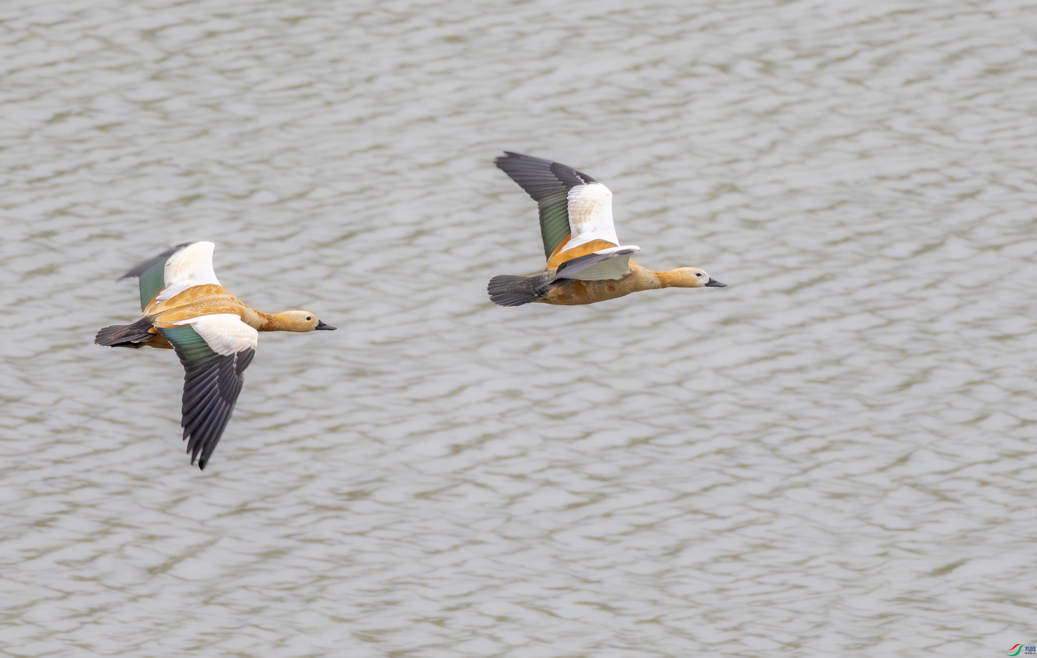 G47A9654-����ǿ-NR ����.jpg