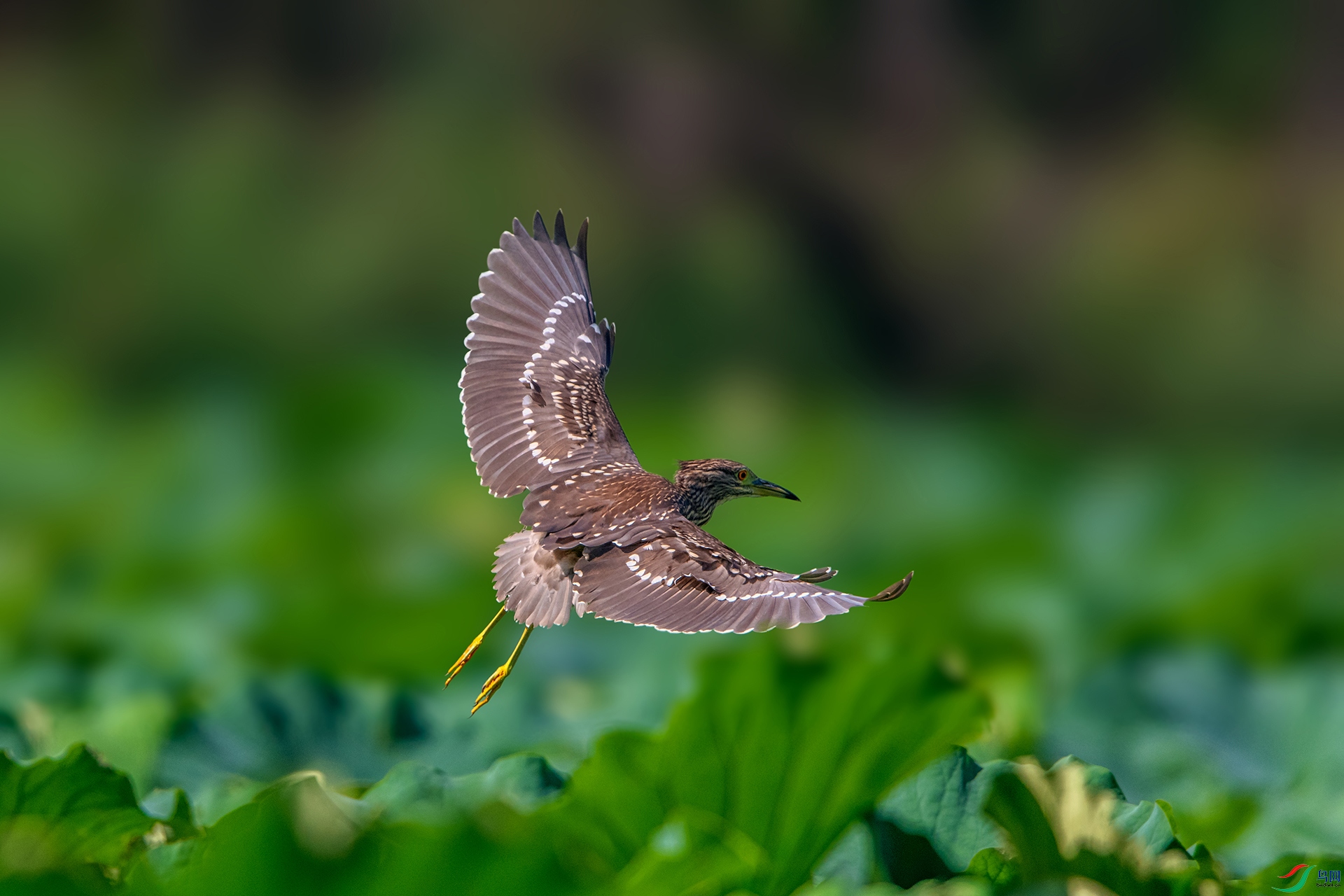 _AUU9718ҹ��(24.8.29).jpg