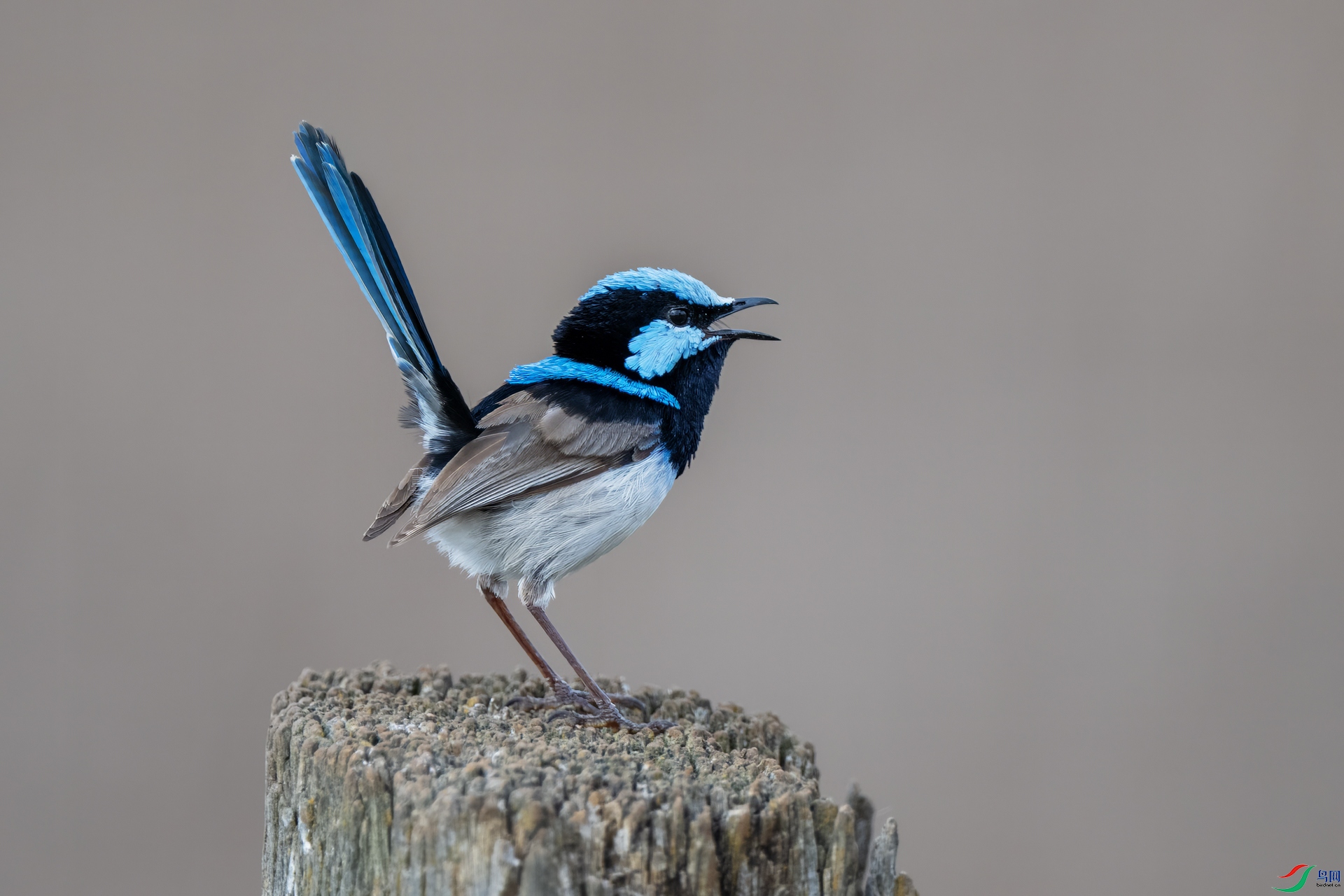 DSC_1810.jpg