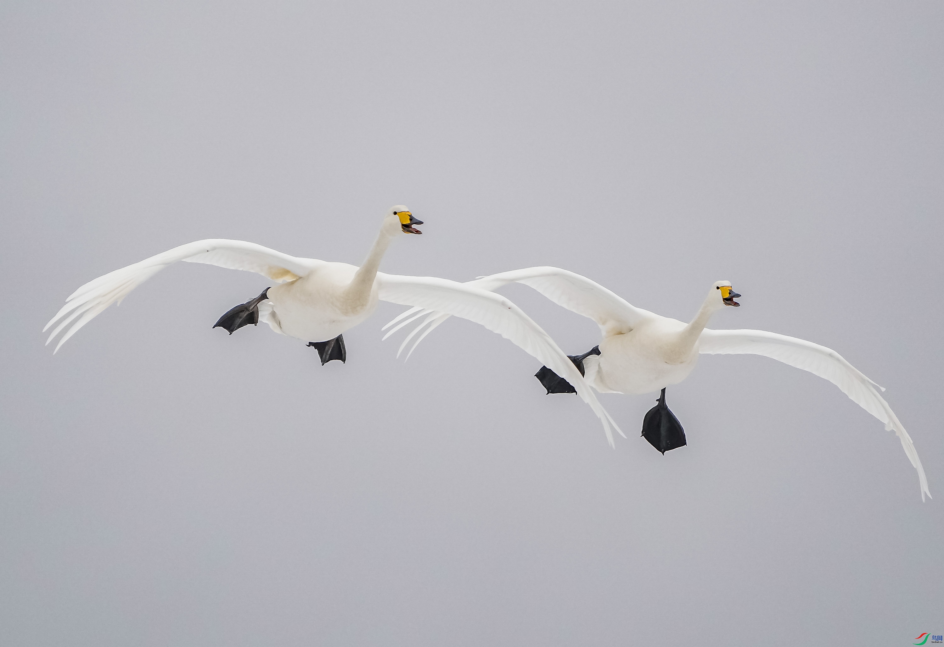 �����-6 (2).jpg