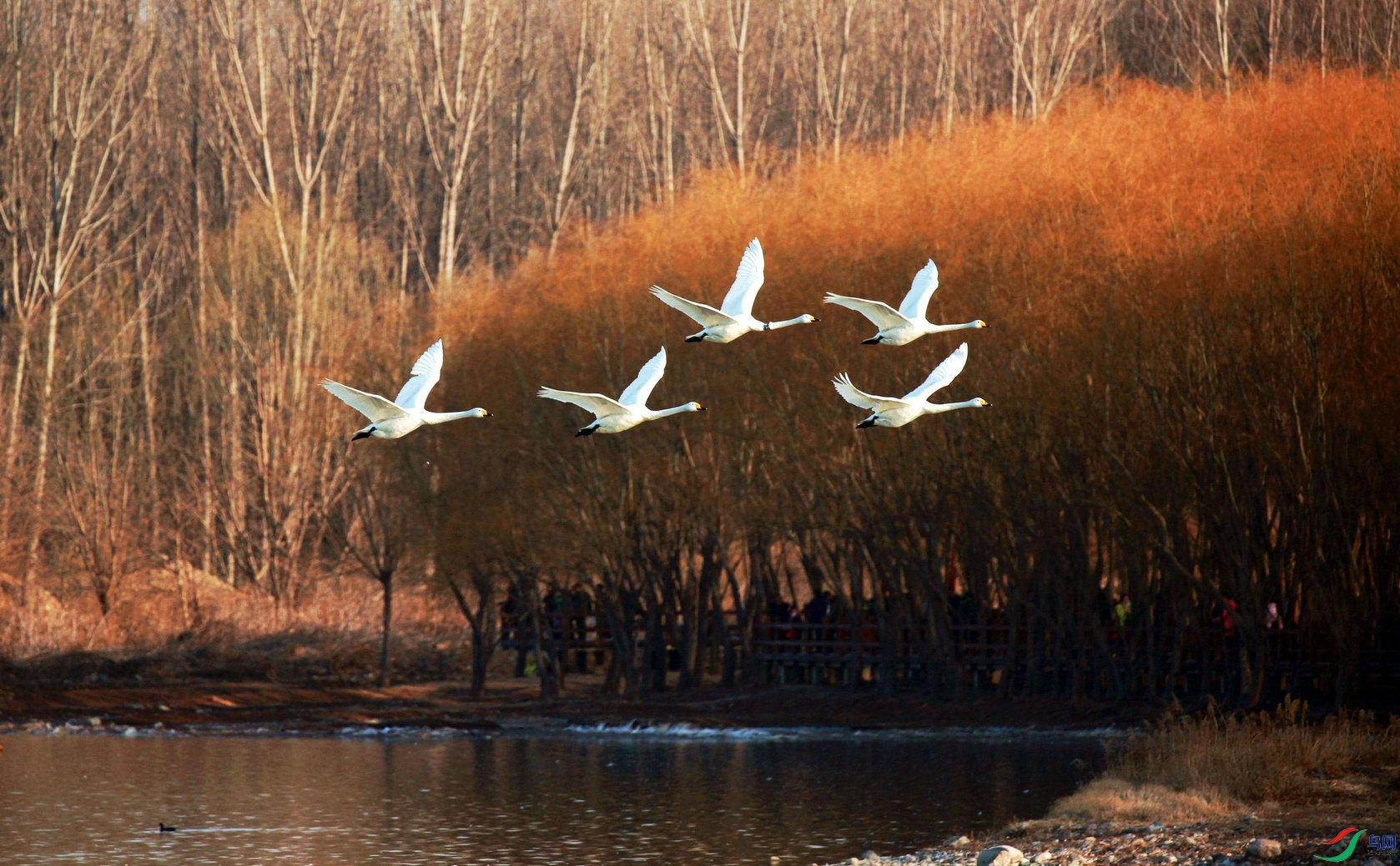 BG3A0639_���� - ���� - ���� - ����_����4.jpg