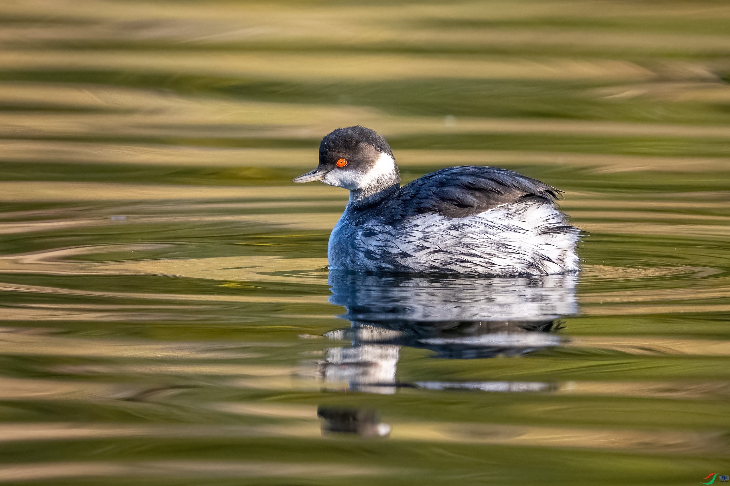 _DSC9390-.jpg