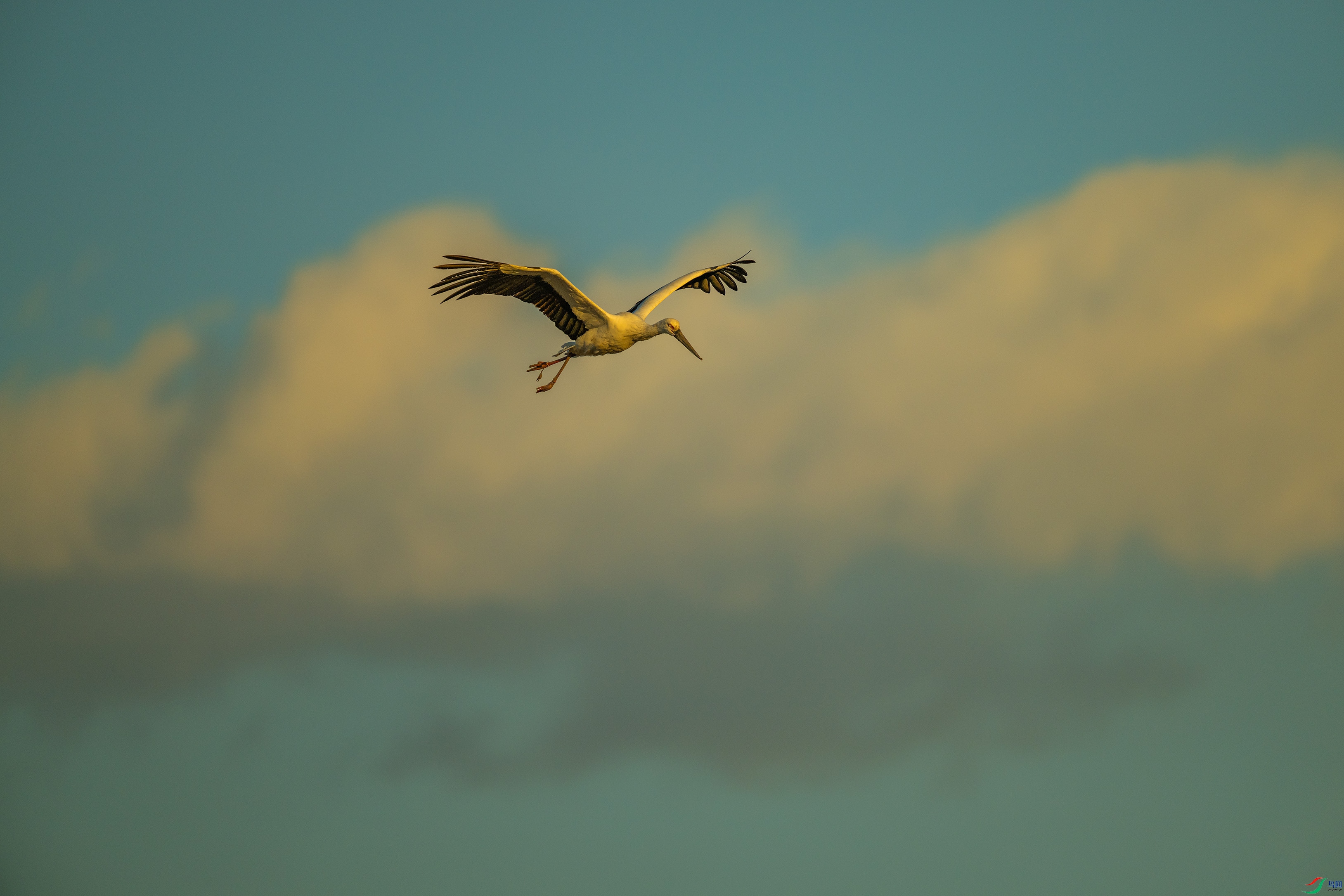 DSC_6018.jpg
