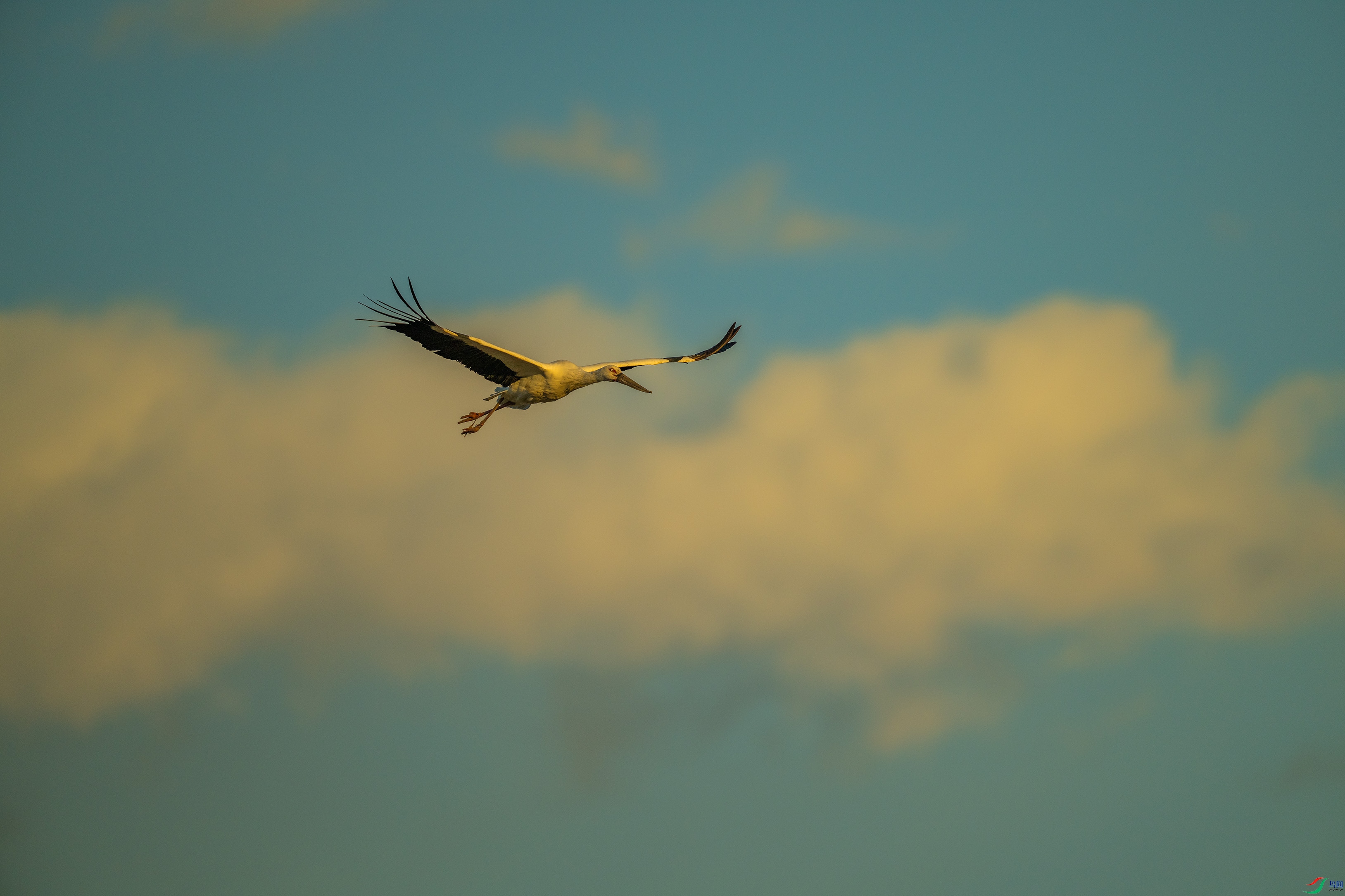 DSC_6021.jpg