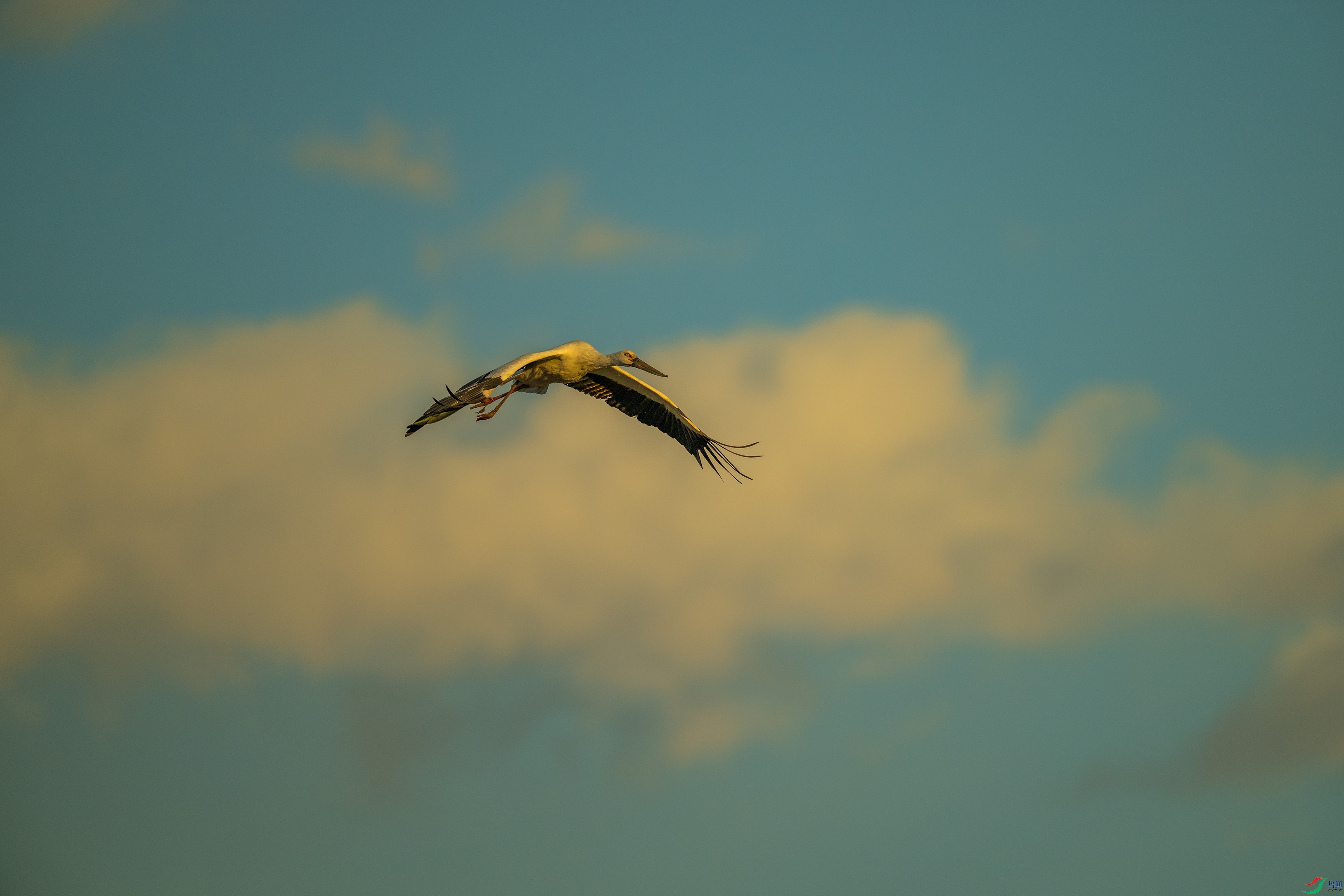 DSC_6022.jpg