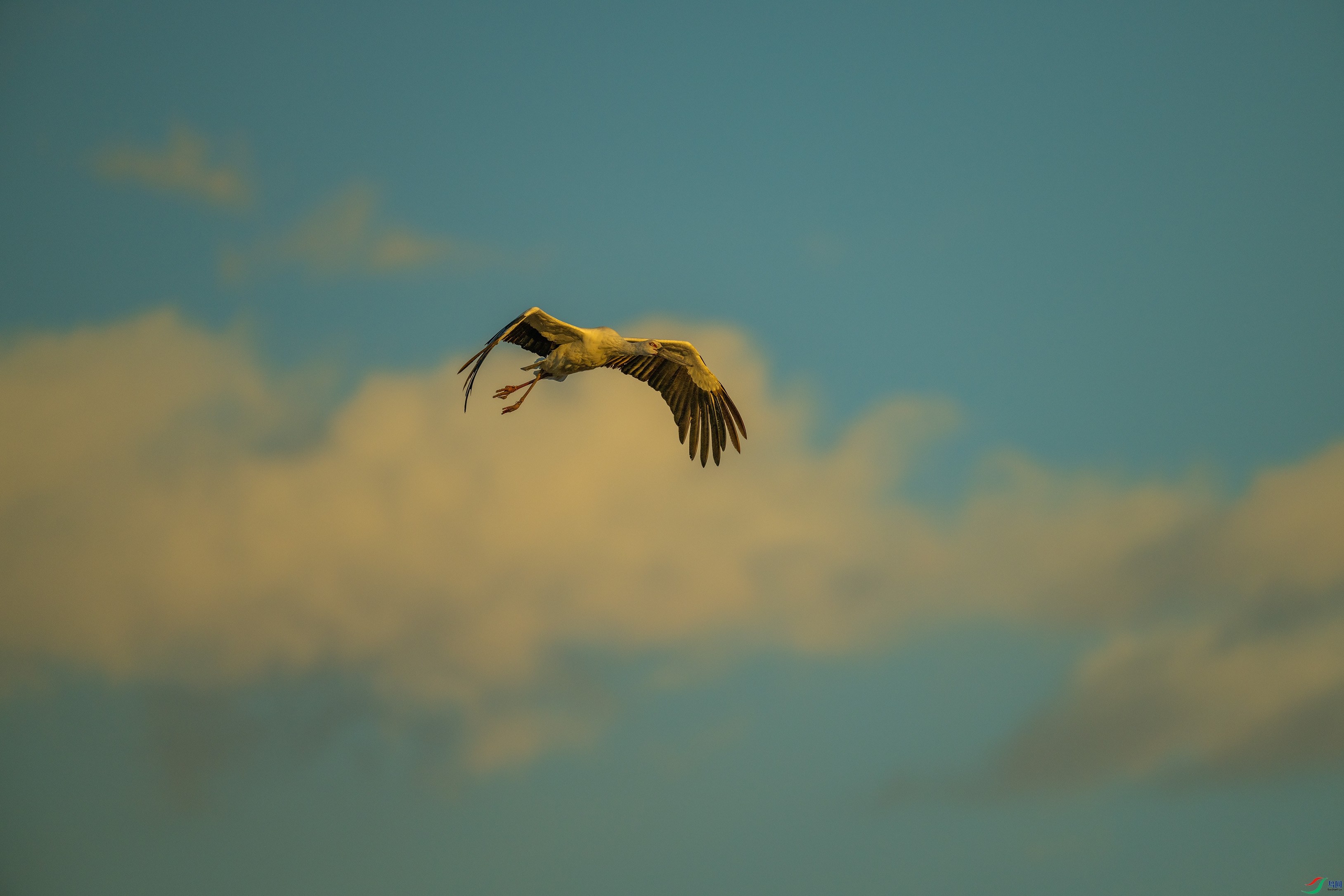 DSC_6023.jpg