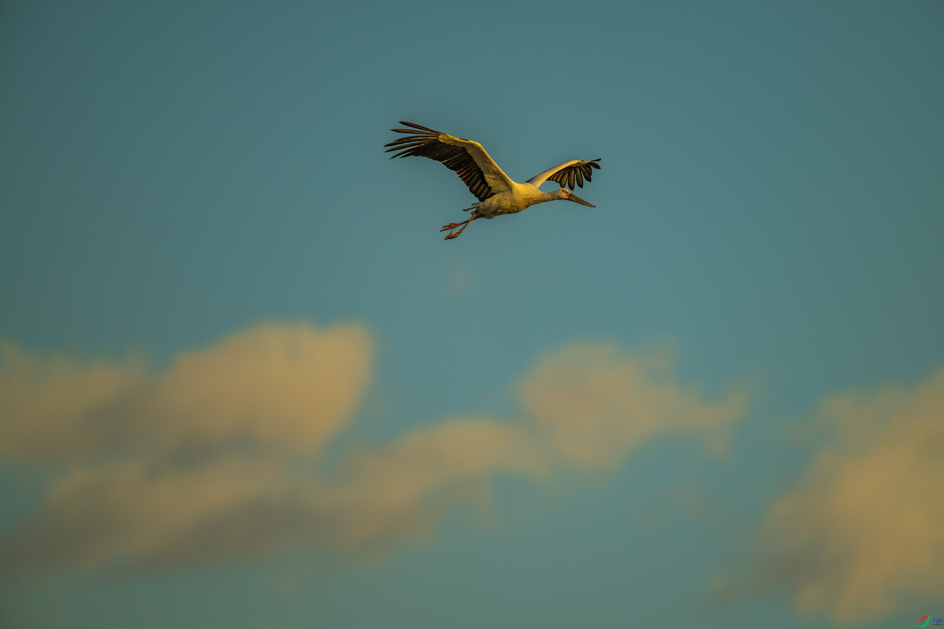 DSC_6026.jpg