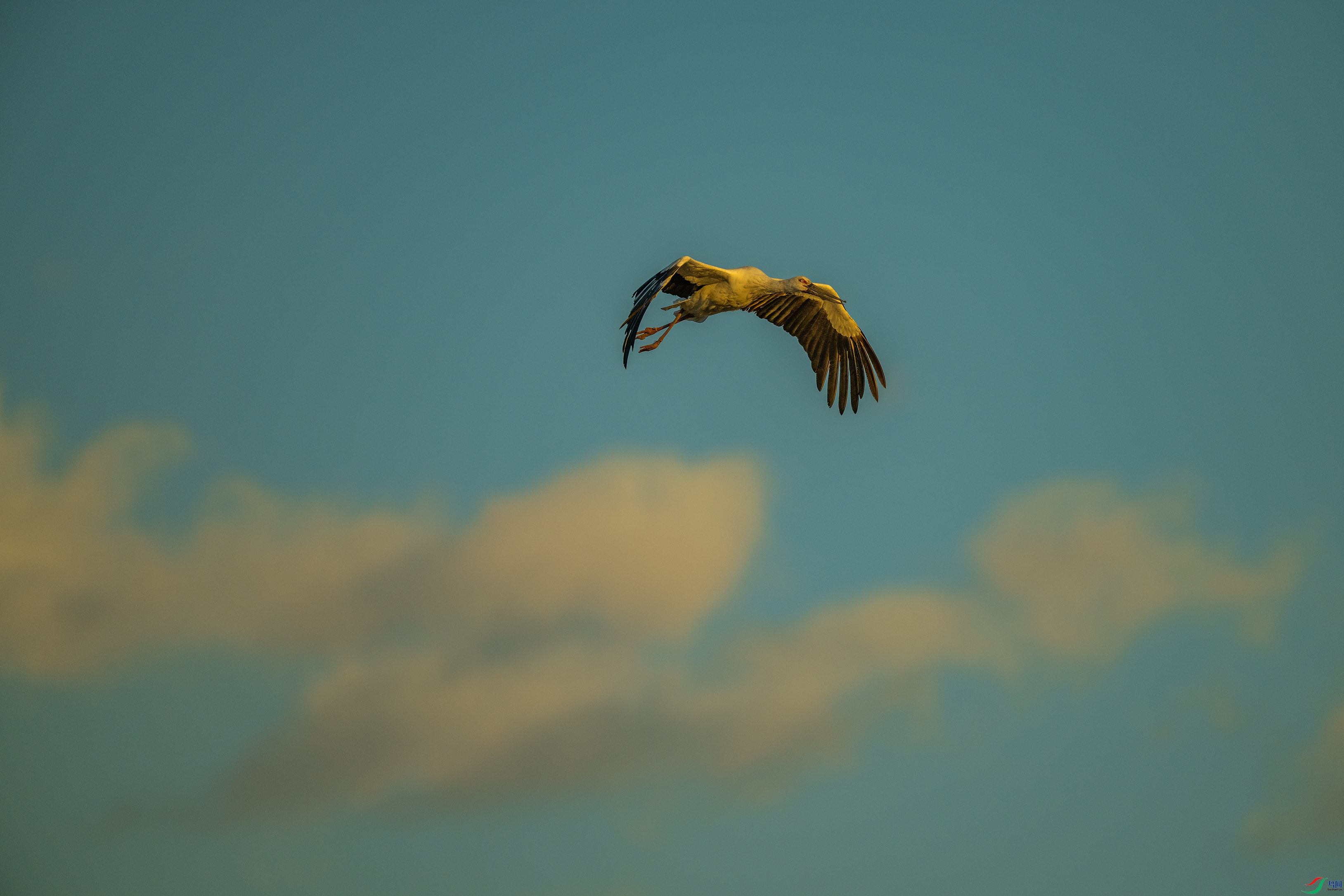 DSC_6025.jpg