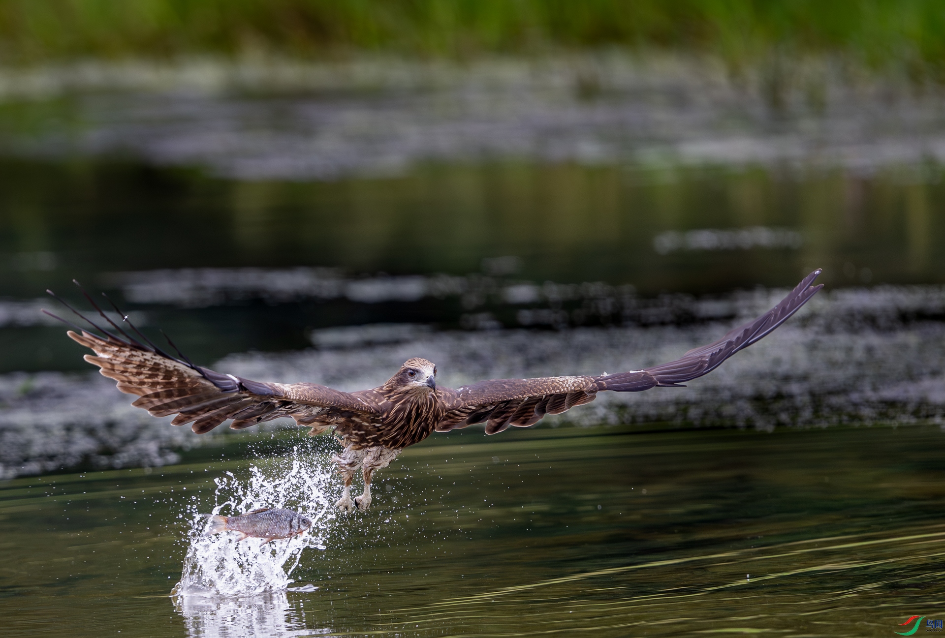 DSC_3628-1.jpg