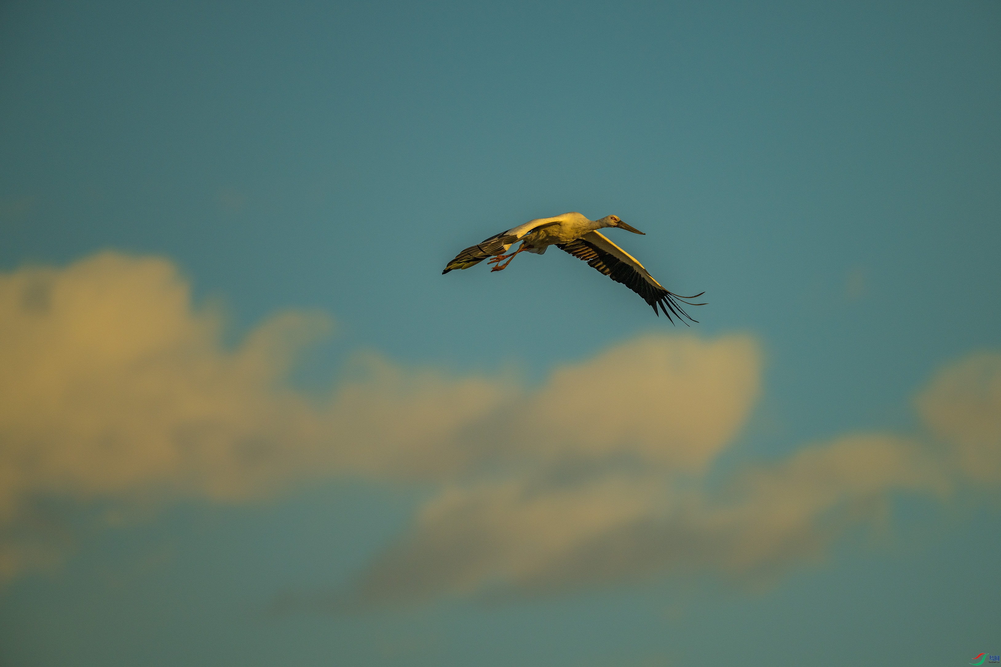 DSC_6024.jpg