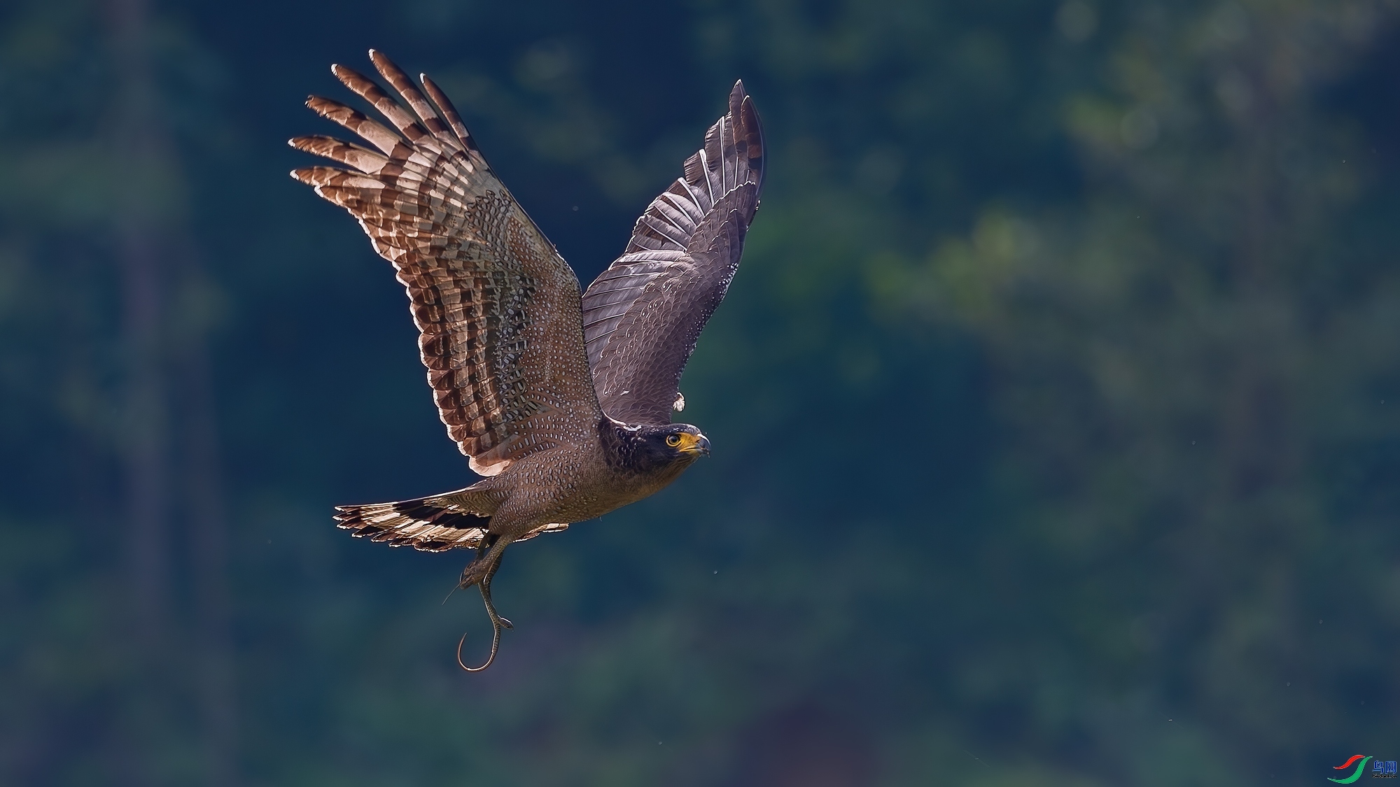 11.18Դ����Ȼ��ʦ��Ʒ  ���﷫�𺽡���ף���ٻ����������.jpg