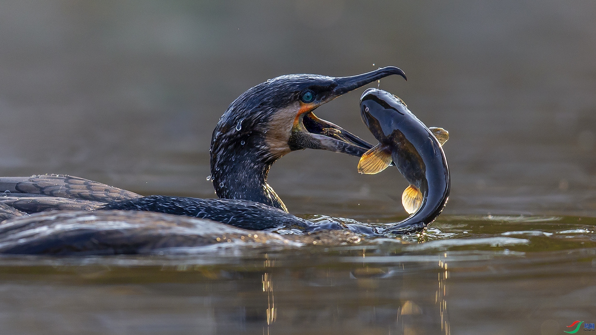 11.18�ݸ�����ʦ��Ʒ  �����-----��˲��� ��ף���ٻ���Ӱʦ������.jpg