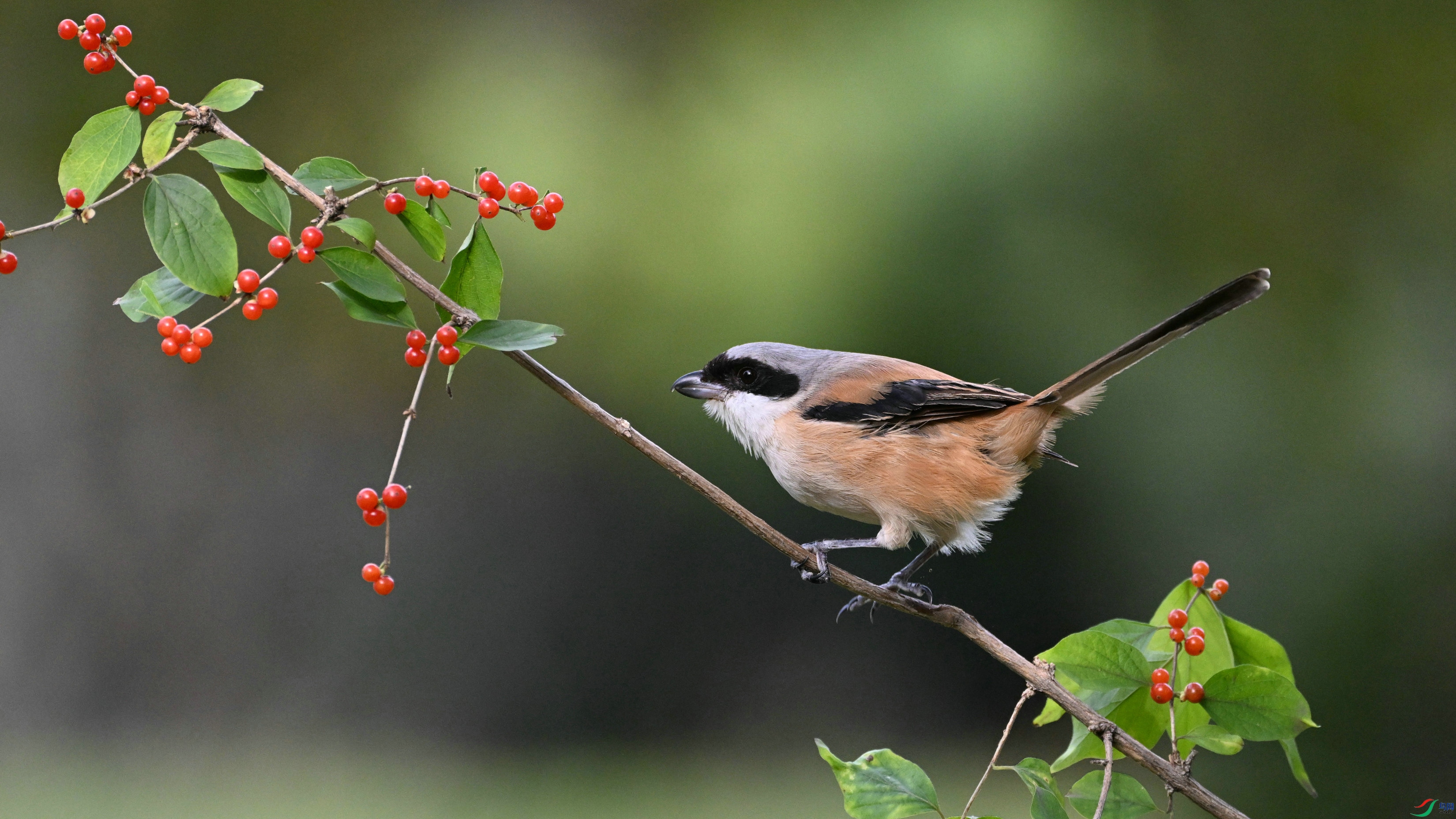 DSC_0842.JPG