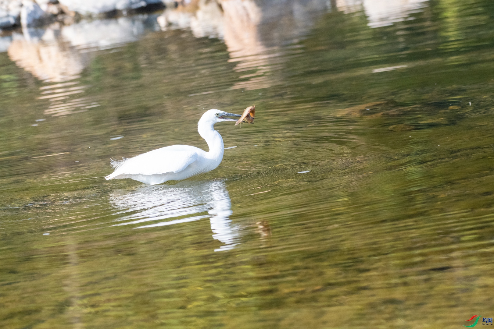DSC_2788.jpg