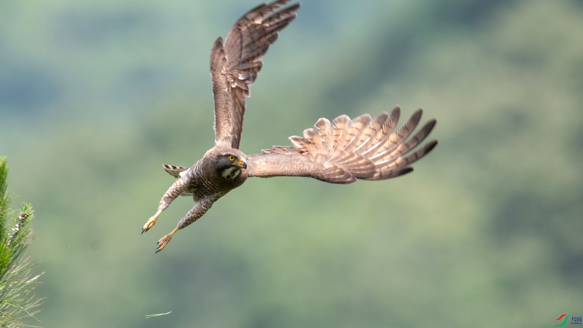 _DSC2686 ����.jpg