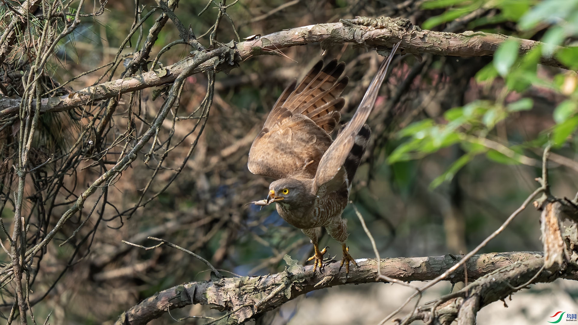 DSC00019 ����.jpg